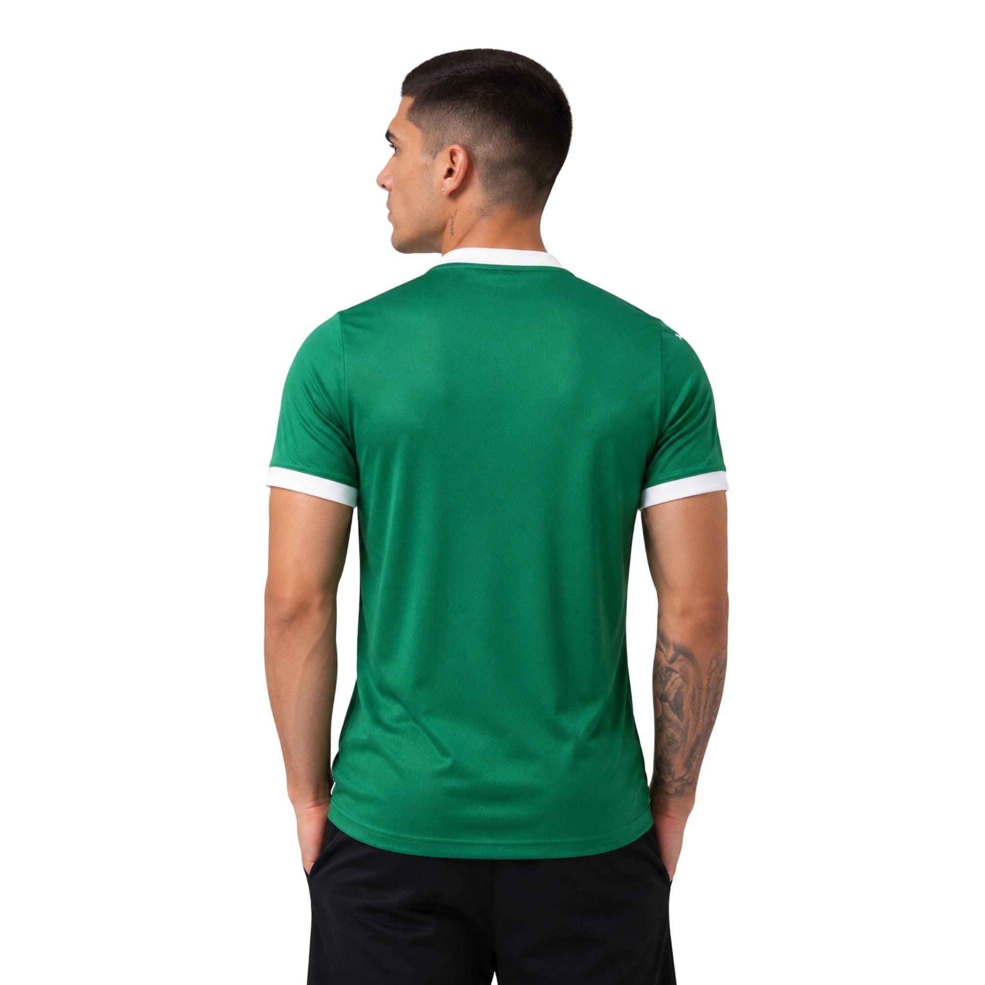 Palmeiras Domicile 25/26 - Version Joueur