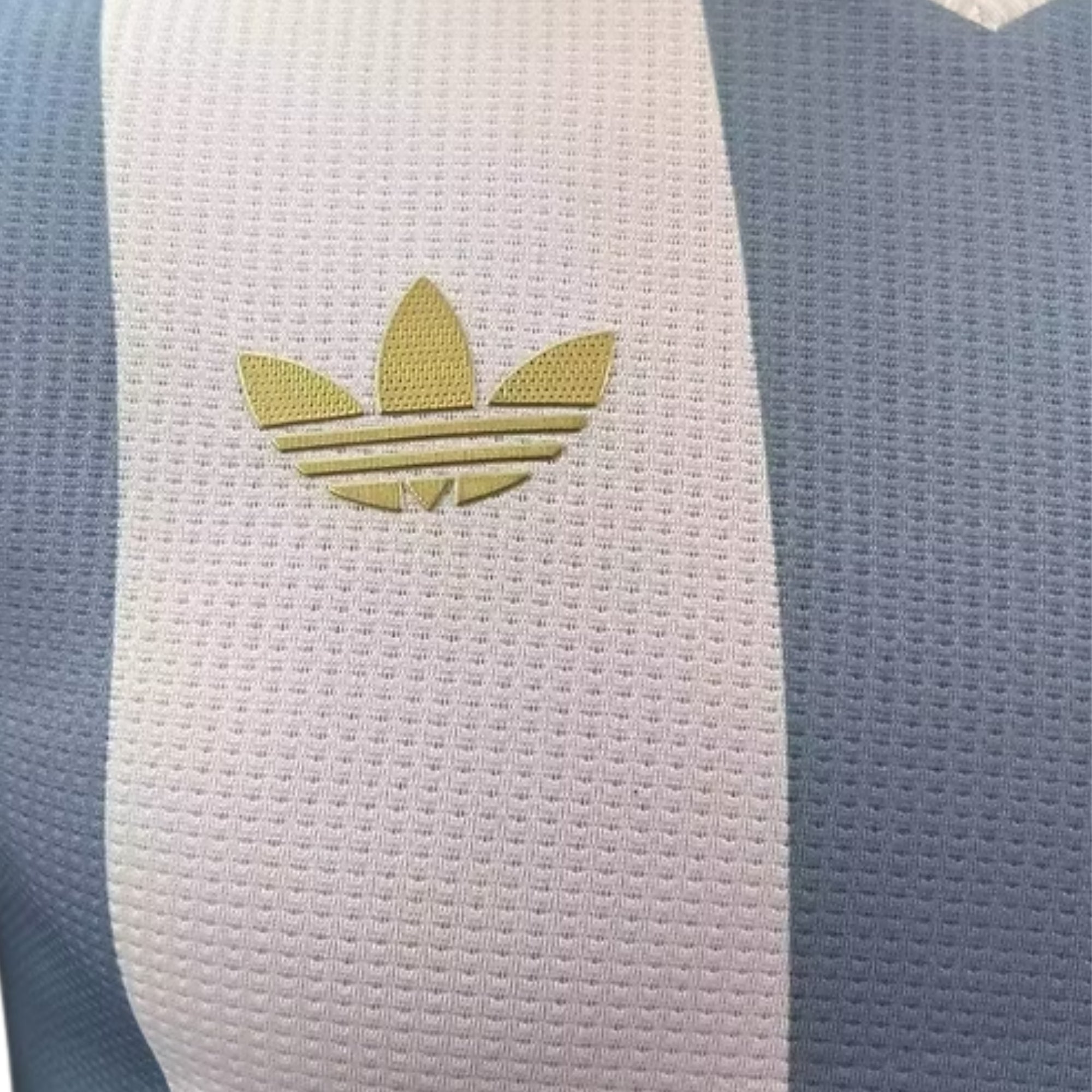 Argentine Édition Speciale 24/25 - Version Joueur