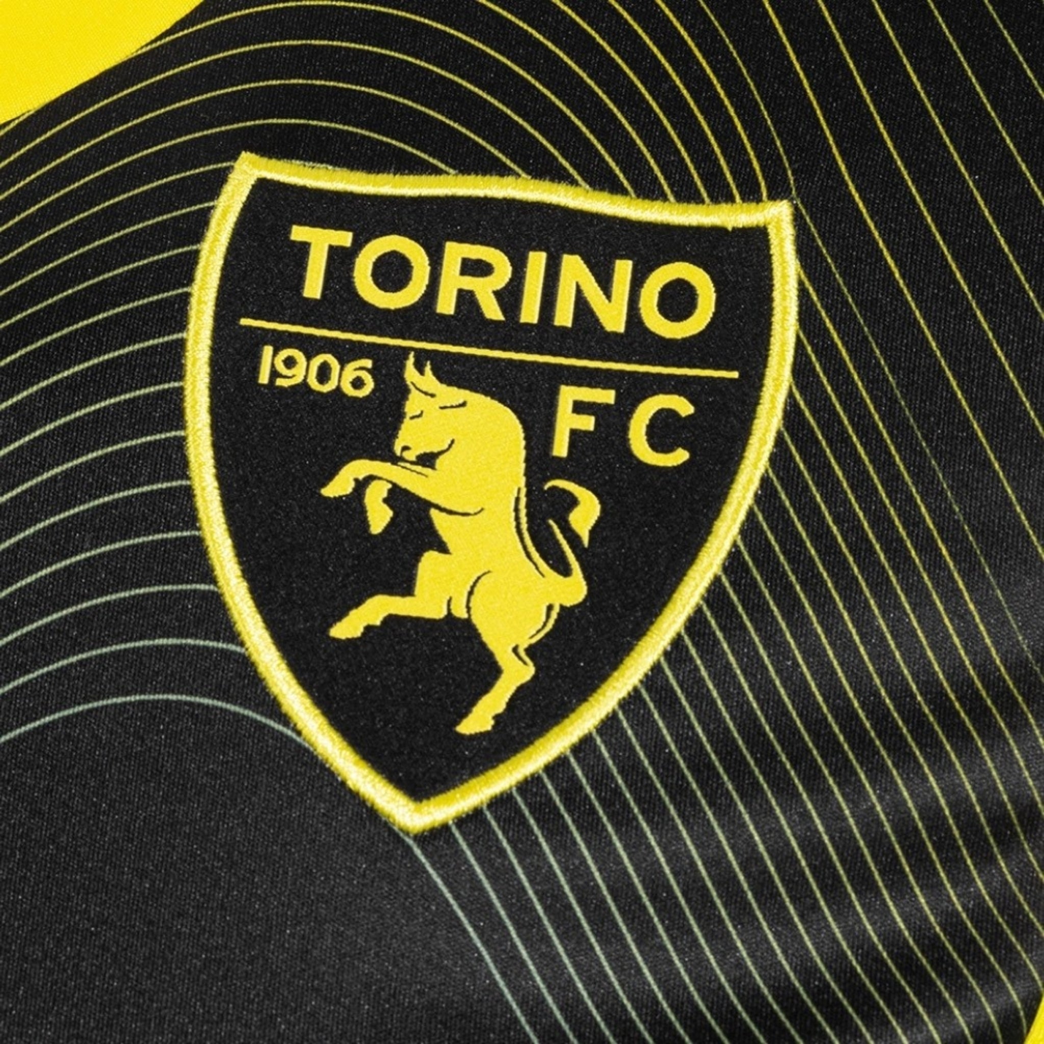 Torino Gardiens de But 26/27
