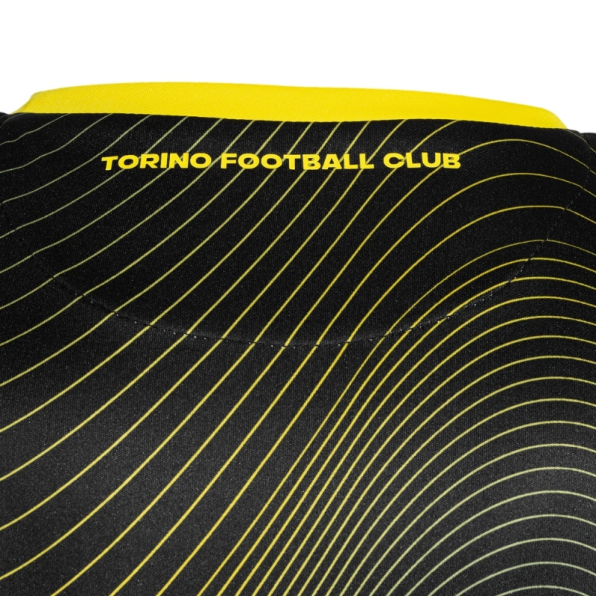 Torino Gardiens de But 26/27