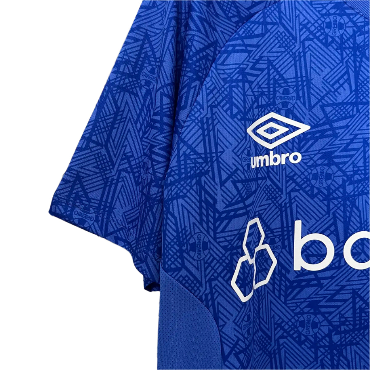 Grêmio Entraînement 24/25