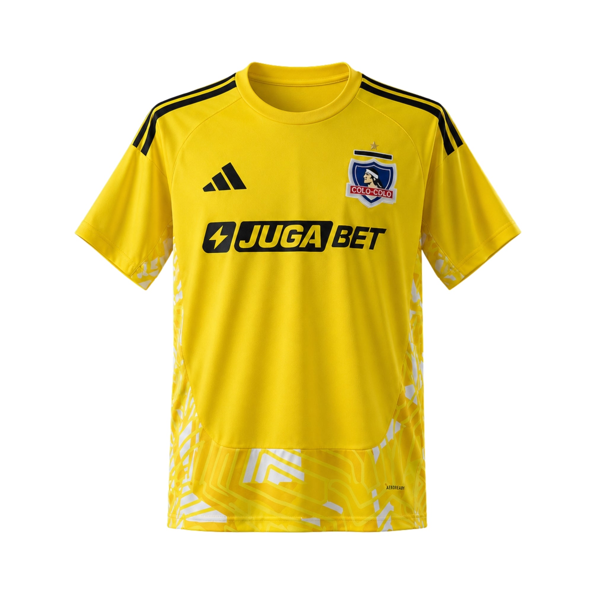 Colo-Colo Gardiens de But 26/27