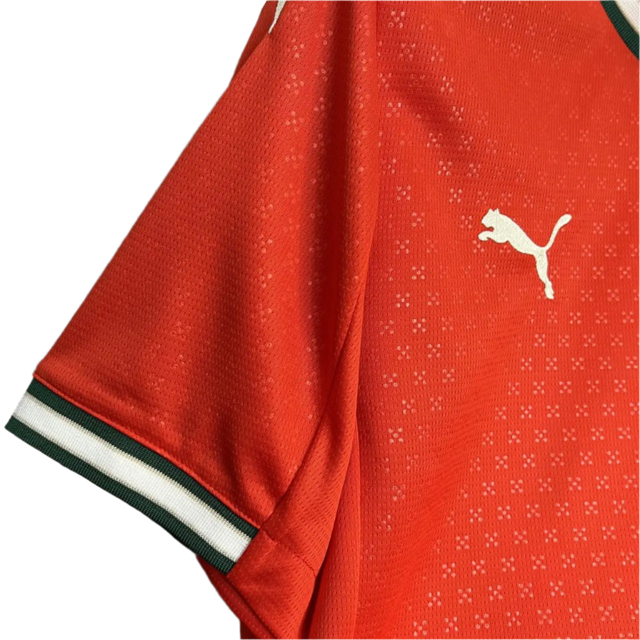 Portugal Domicile 25/26 - Coupe du Monde 2026 - DIOGO J. 21