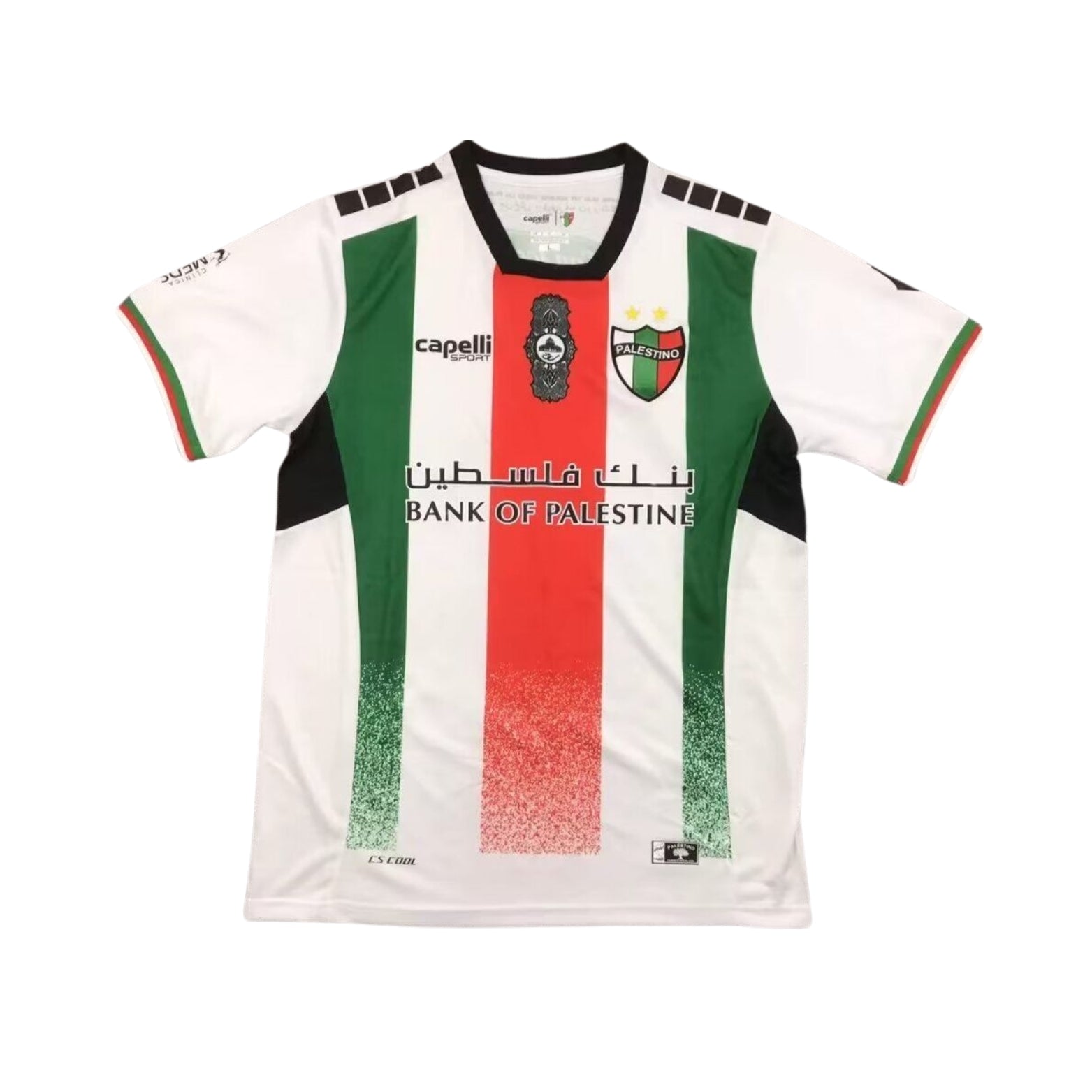 CD Palestino Domicile 24/25