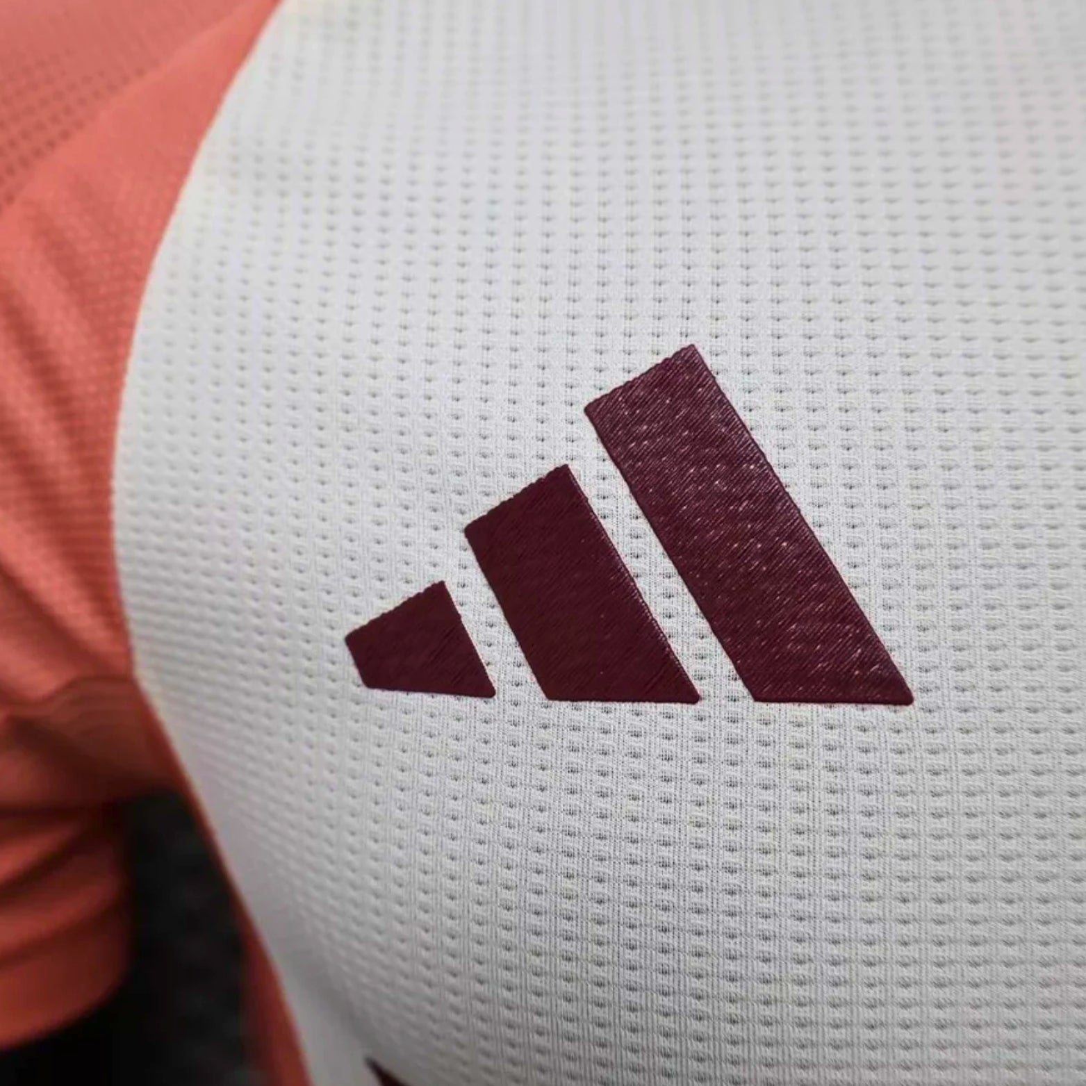 Olympique Lyonnais Troisième 24/25 - Version Joueur