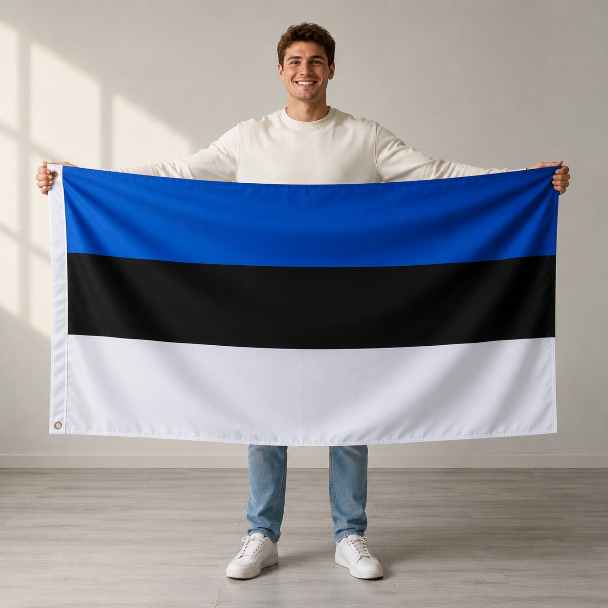 Drapeau - Estonie