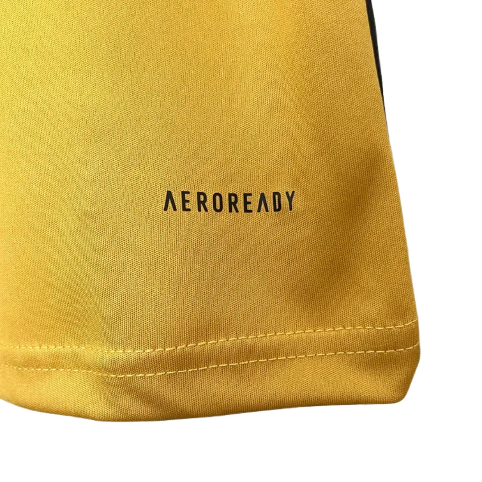 Colo-Colo Quatrième 24/25