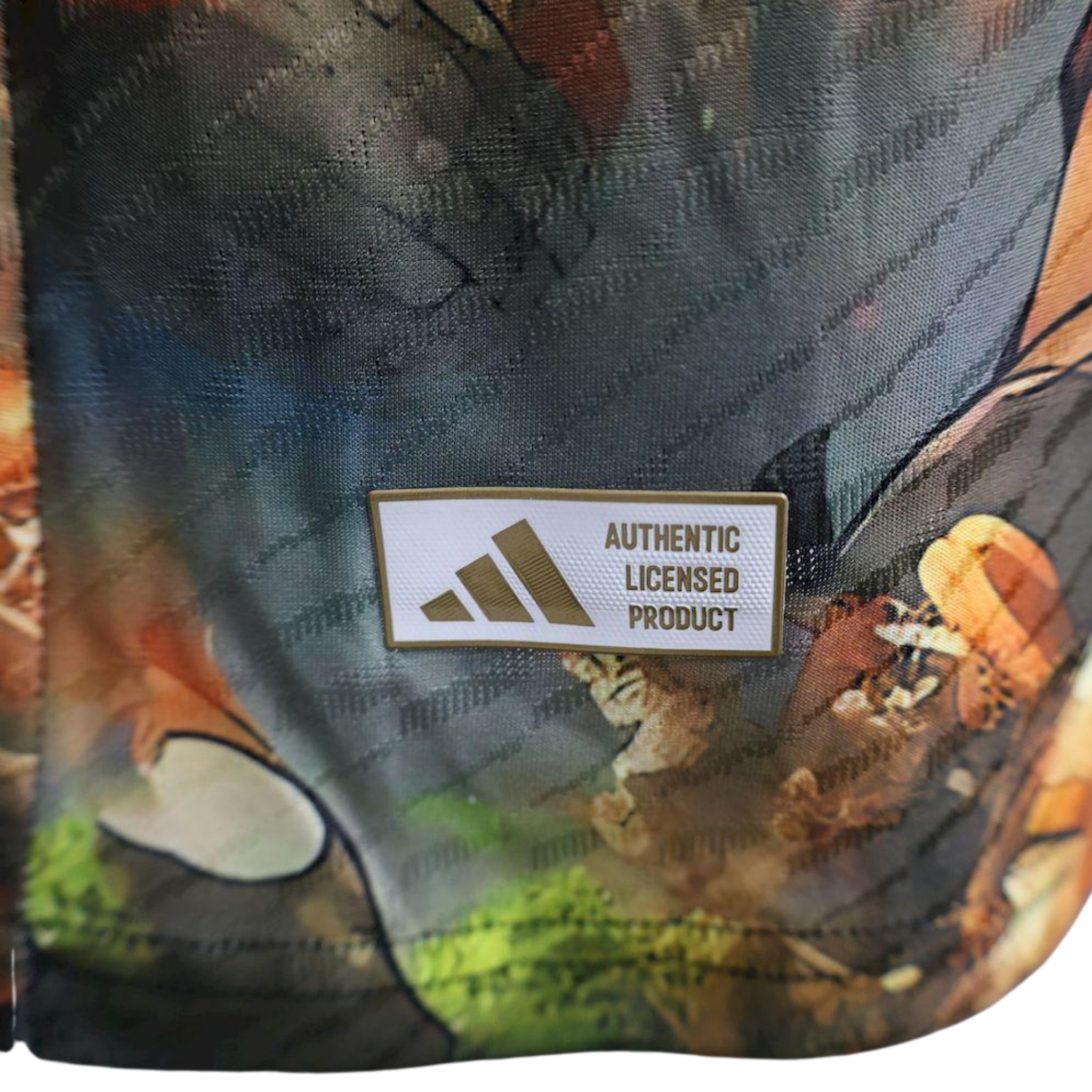 Japon Édition Spéciale 25/26 - Version Joueur