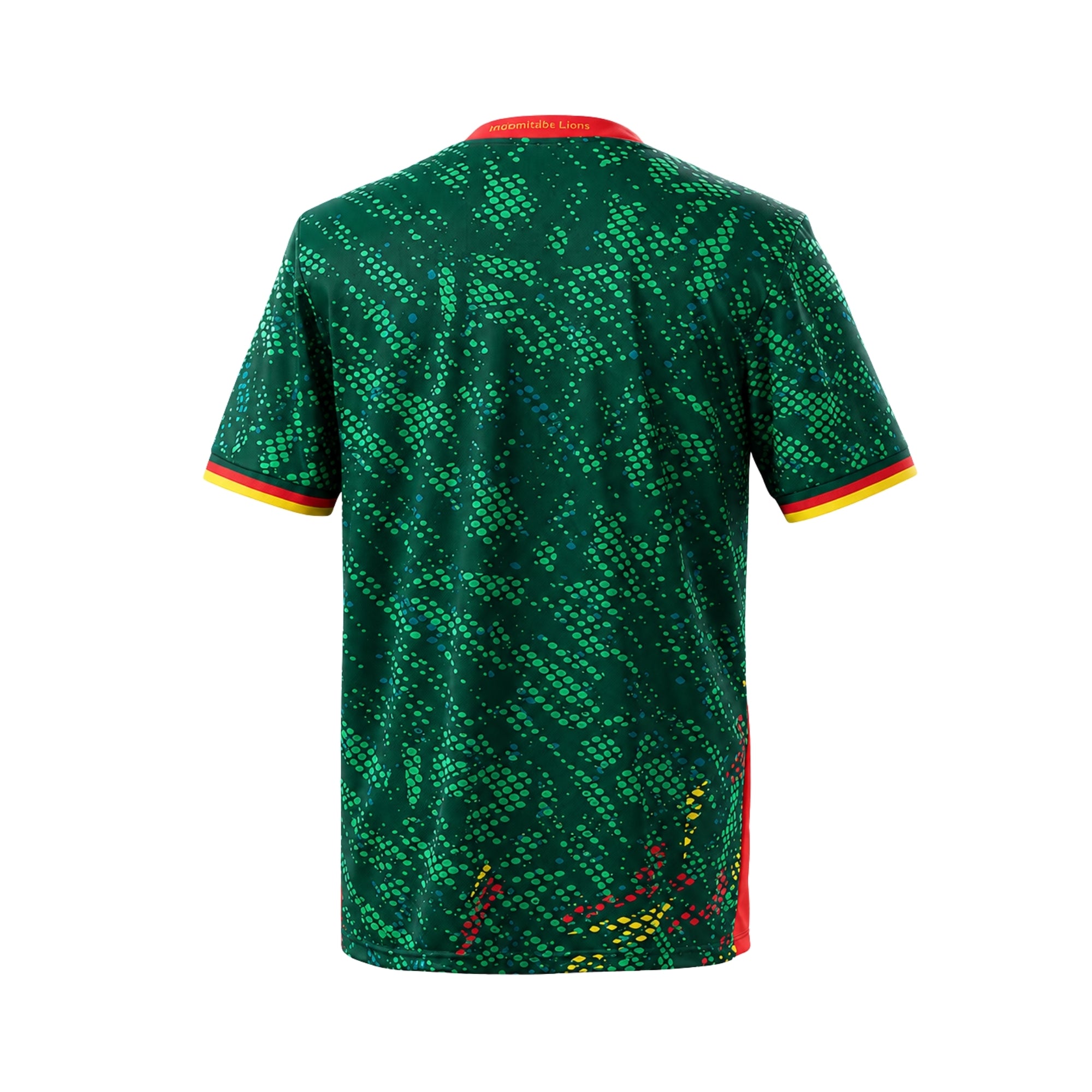 Cameroun Domicile 26/27 - Coupe du Monde 2026