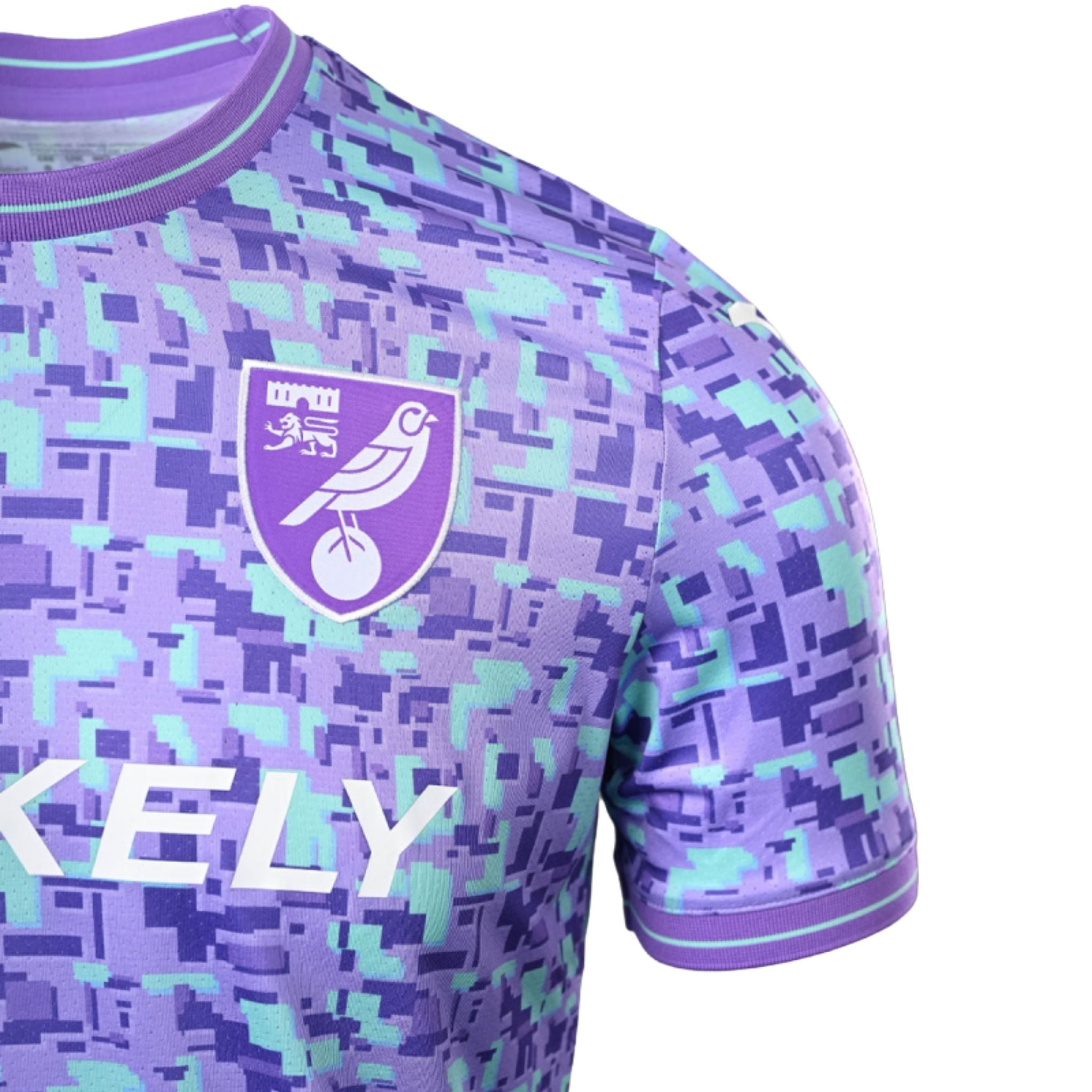 Norwich City Troisième 26/27