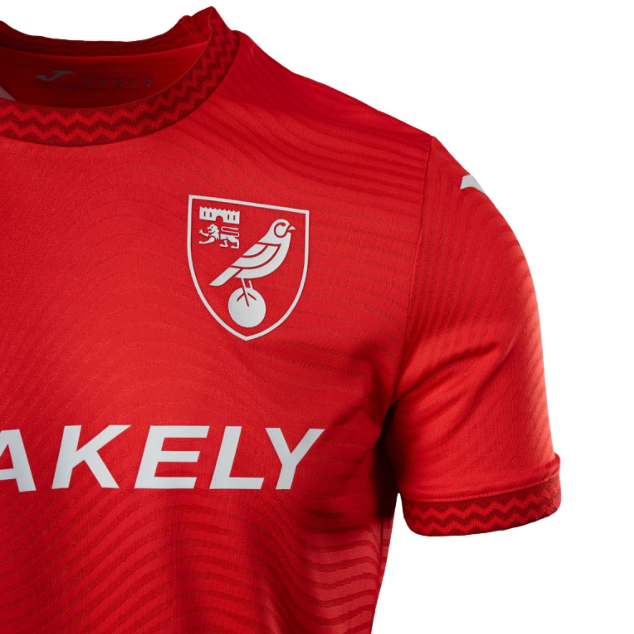 Norwich City Gardiens de But 26/27