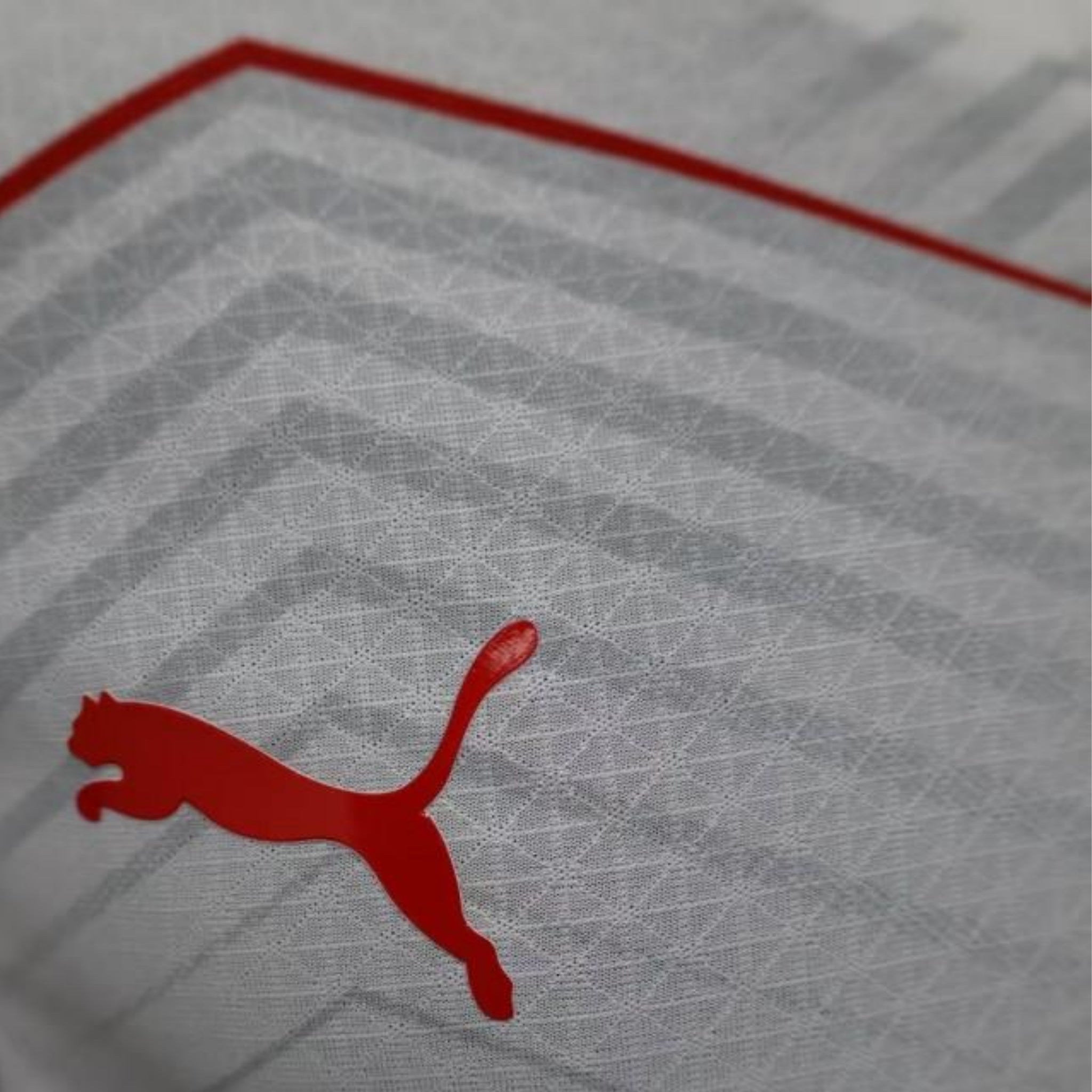 Leipzig Domicile 25/26 - Version Joueur