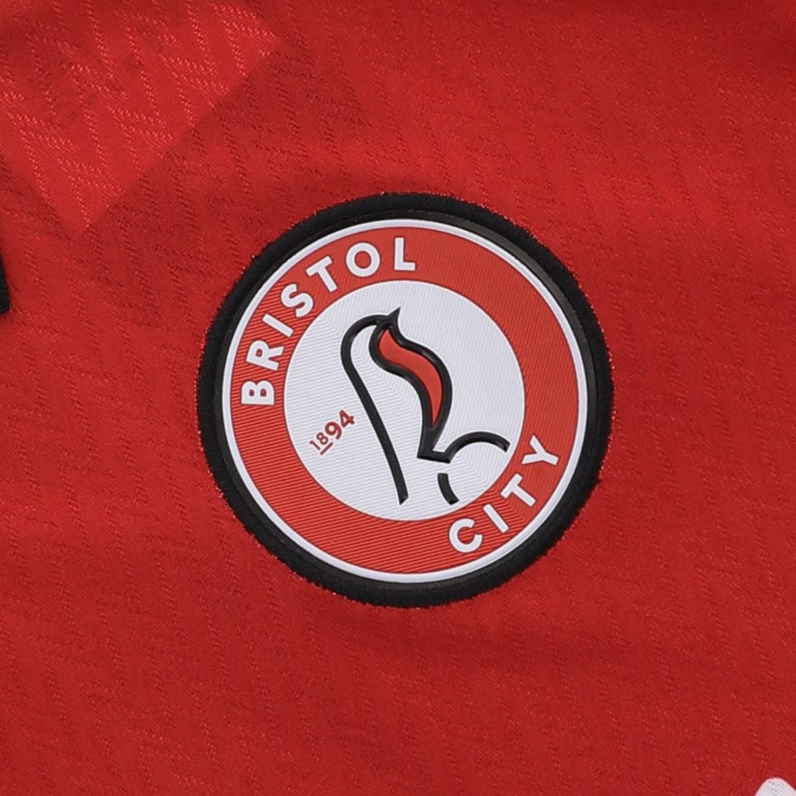Bristol City Domicile 25/26
