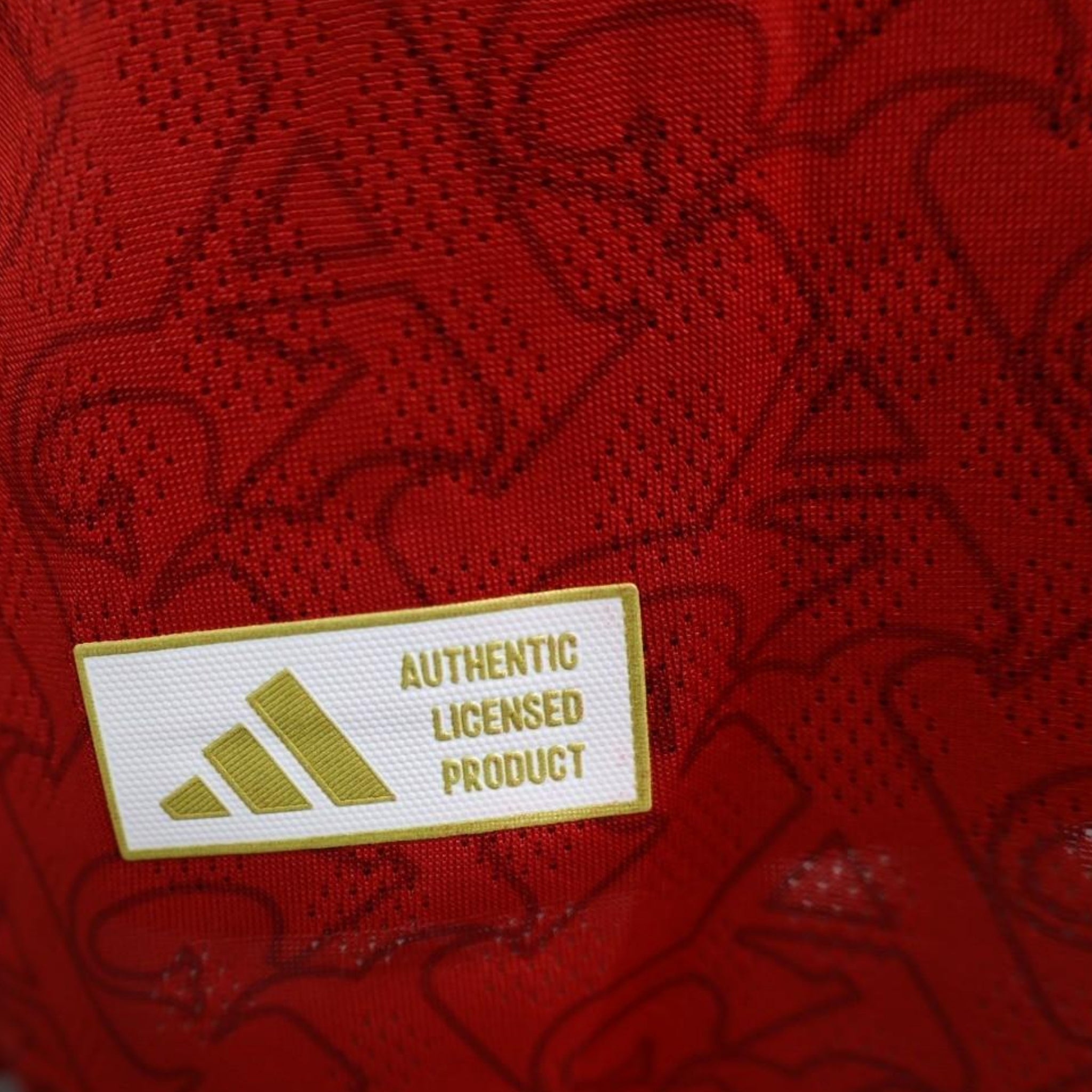 Arsenal Domicile 25/26 - Manches Longues - Version Joueur