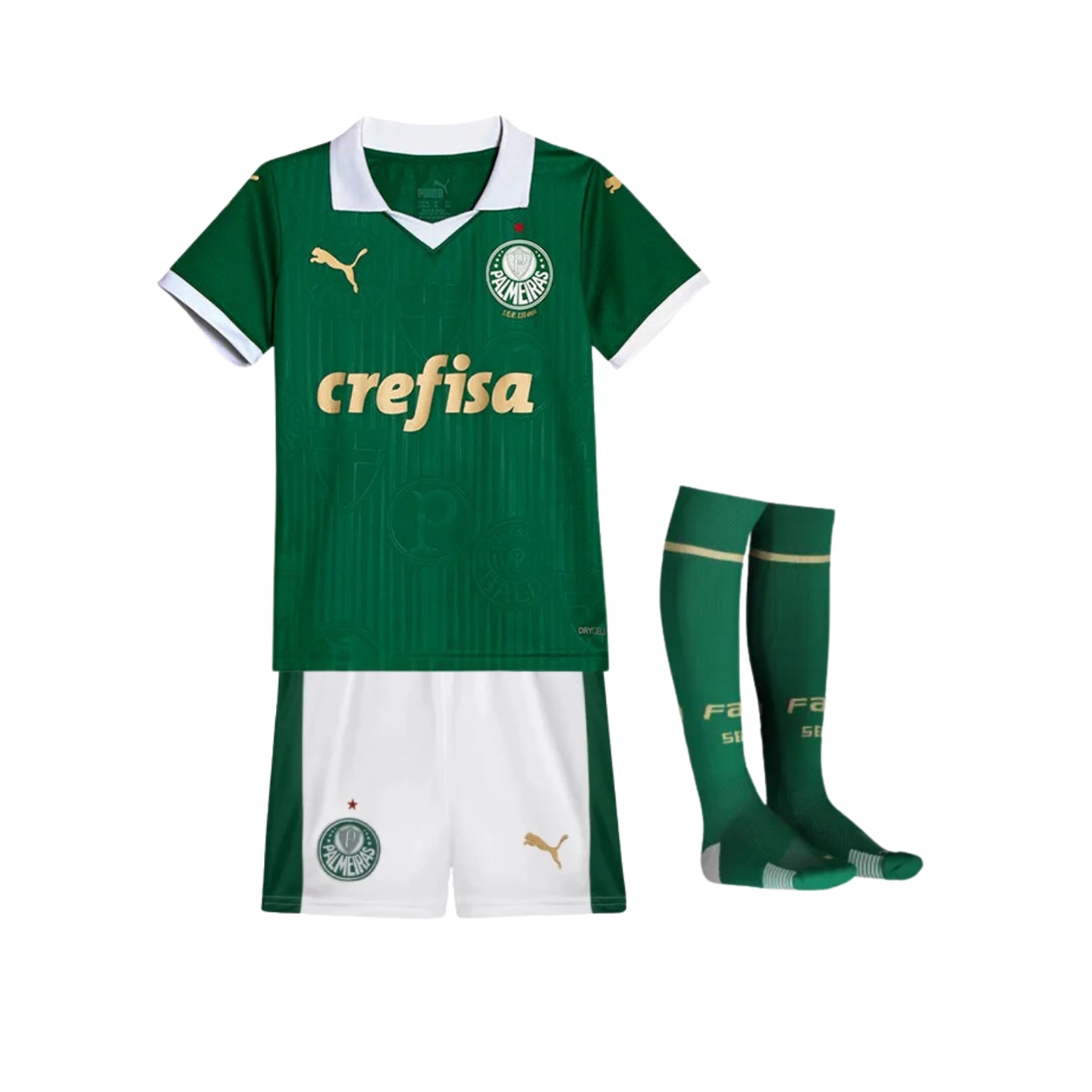 Kit - Palmeiras Domicile 24/25