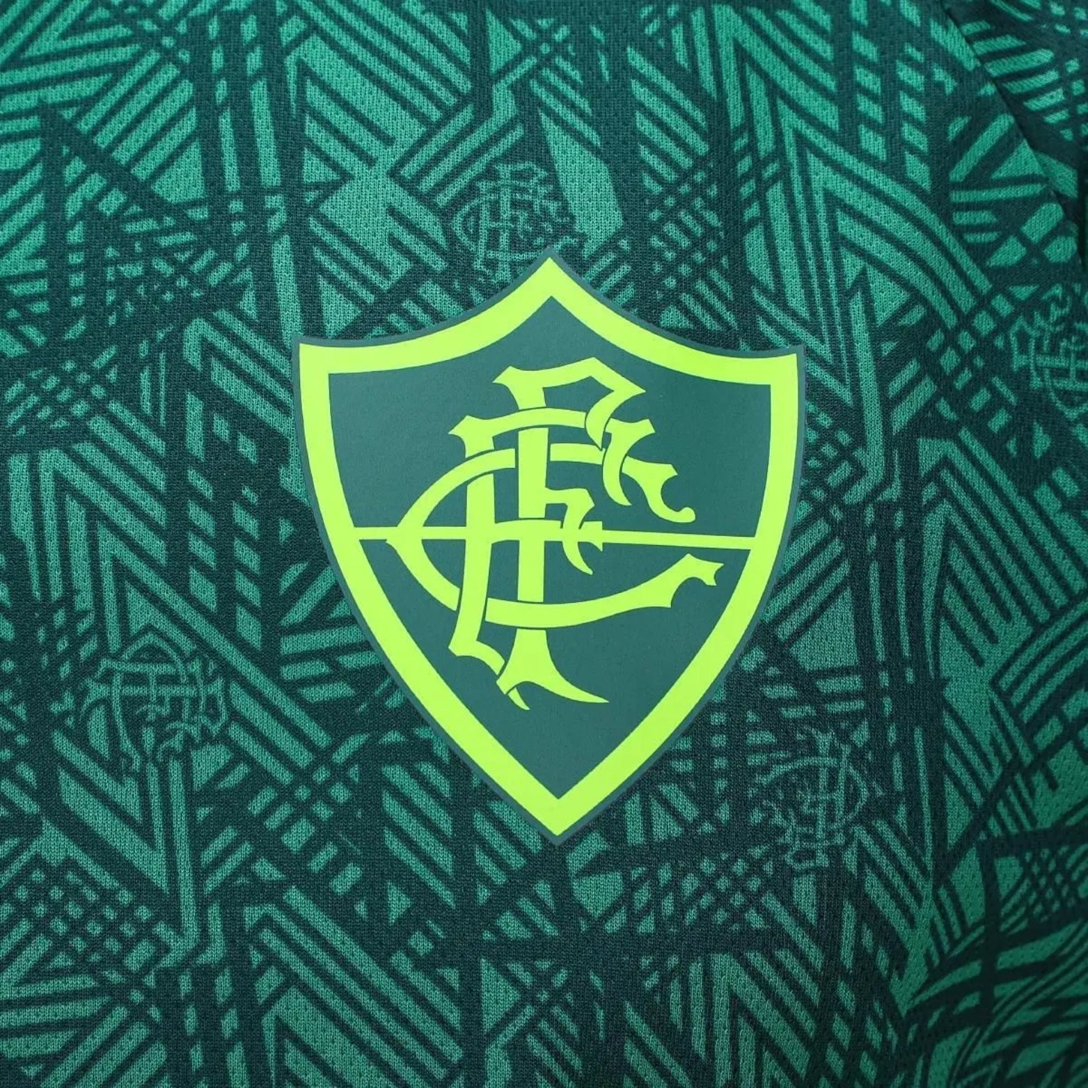 Fluminense Entraînement 24/25