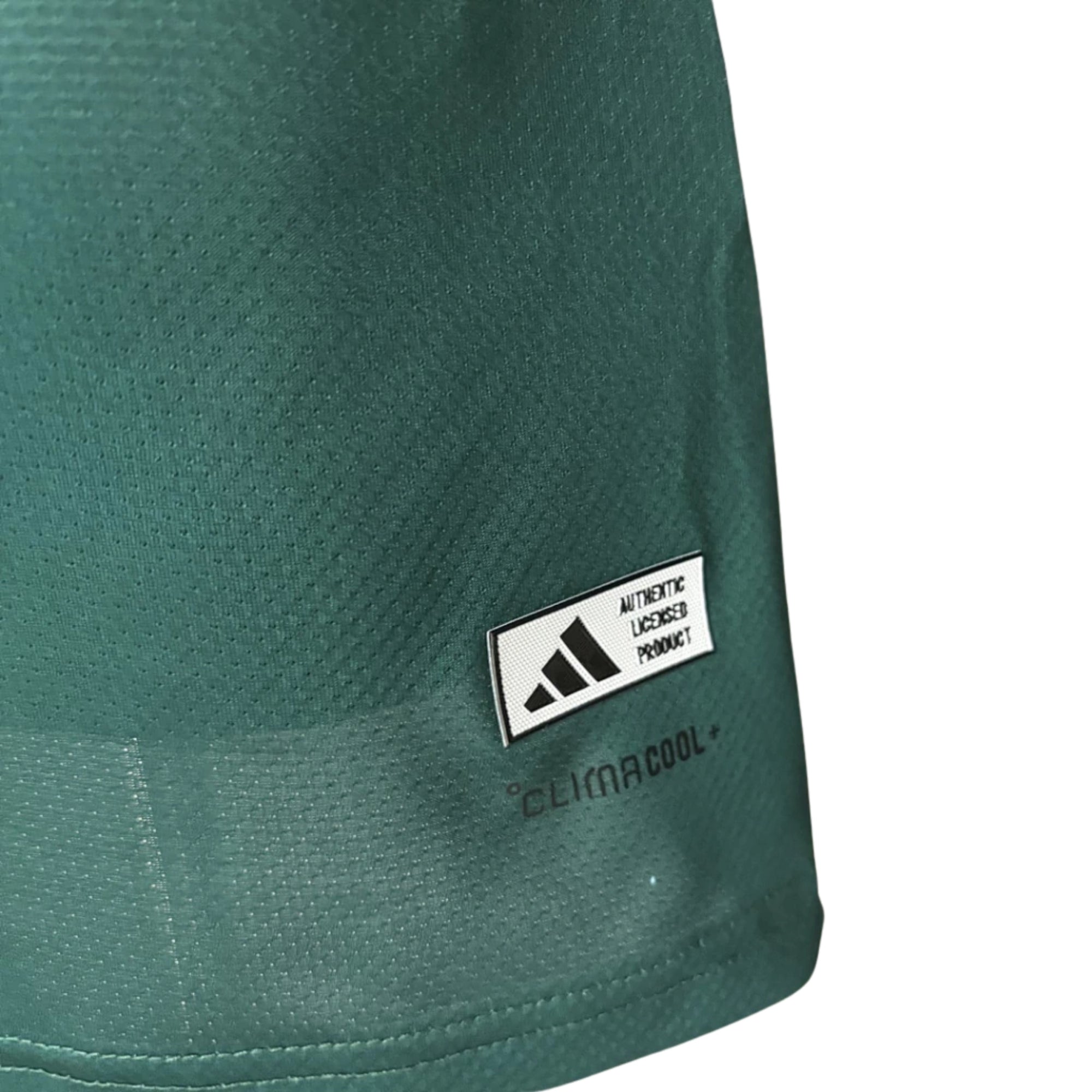 Arabie Saoudite Édition Spéciale 26/27 - Coupe du Monde 2026 - Version Joueur