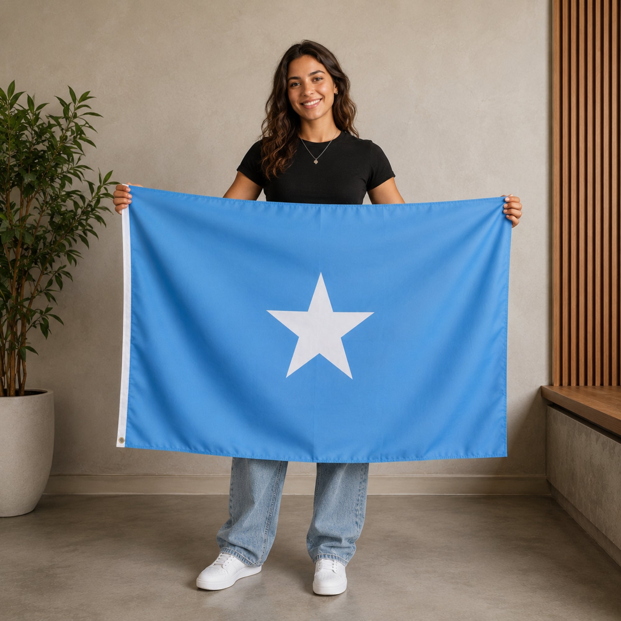 Drapeau - Somalie