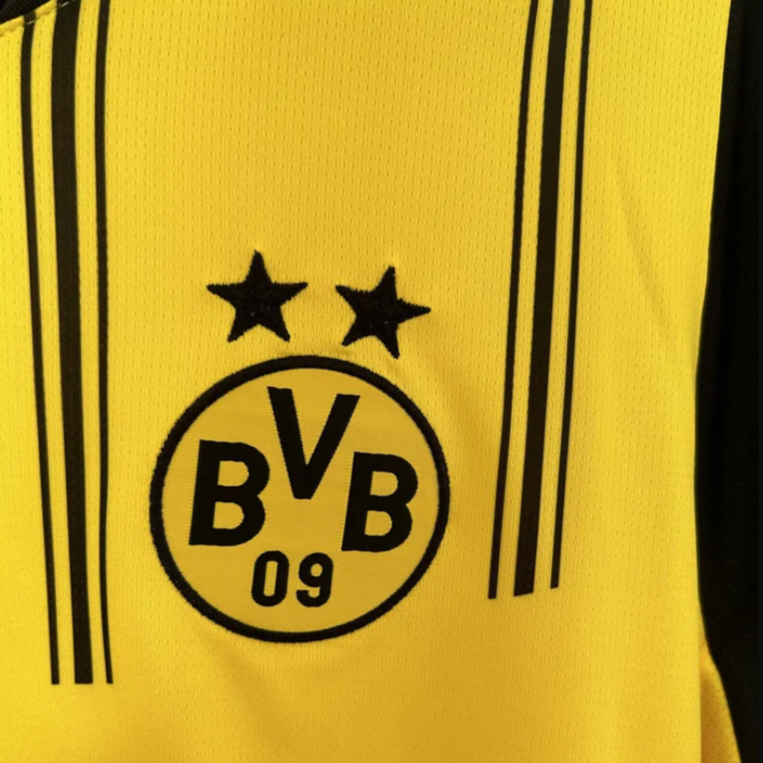 Borussia Dortmund Domicile 24/25