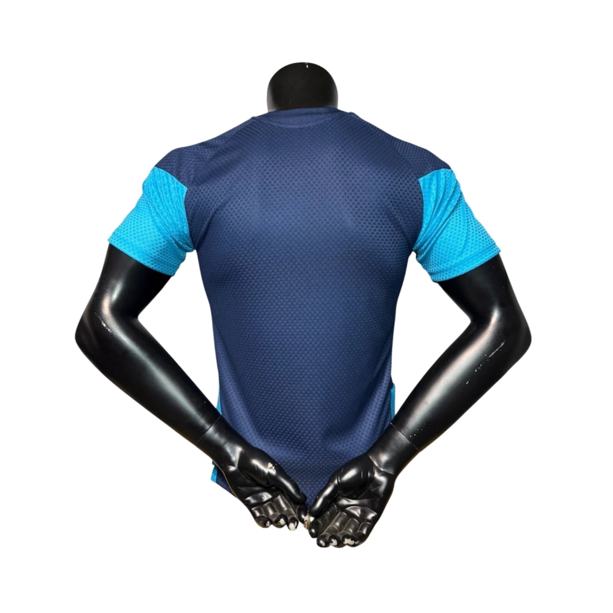 Espagne Entraînement 26/27 - Coupe du Monde 2026 - Version Joueur