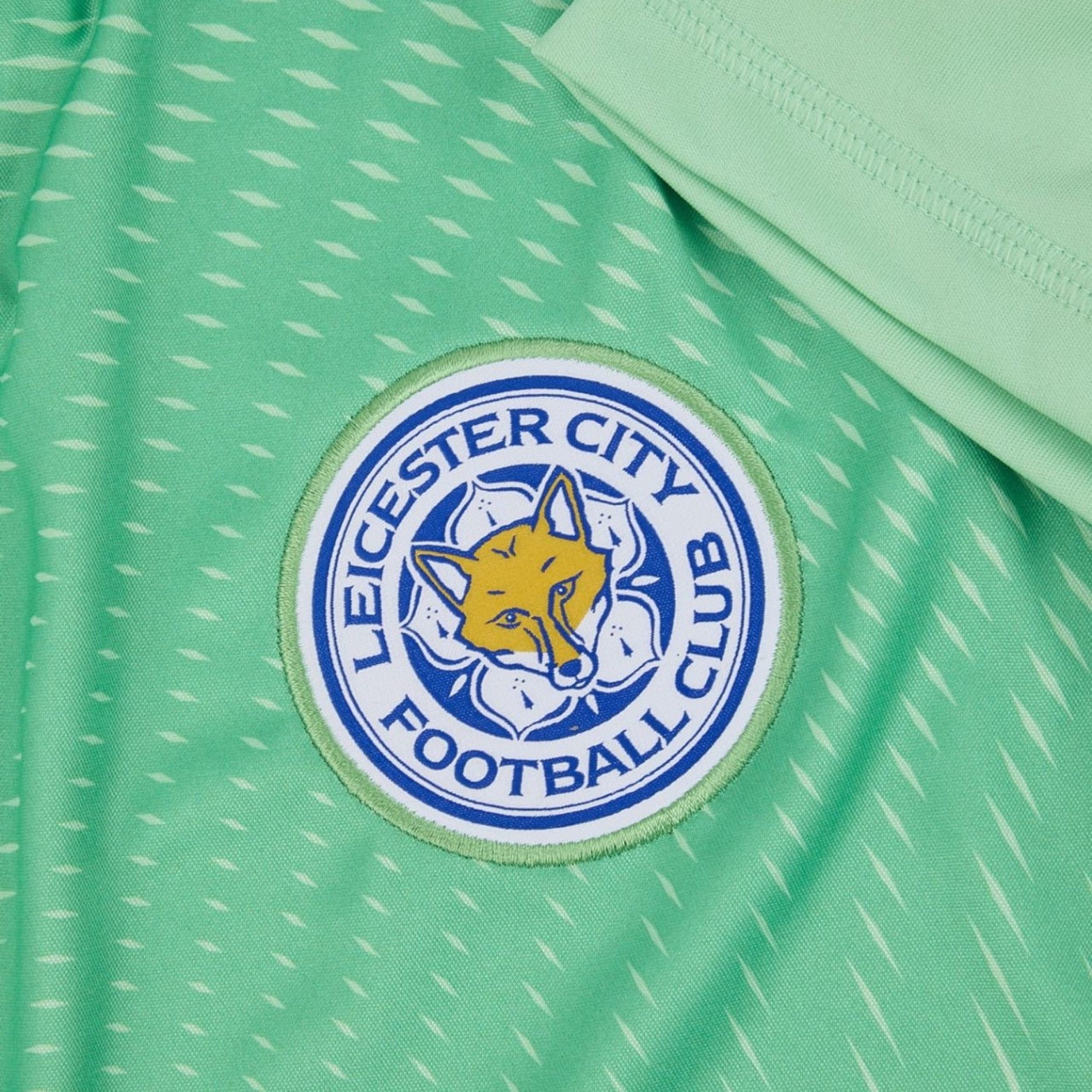 Leicester City Gardiens de But 25/26