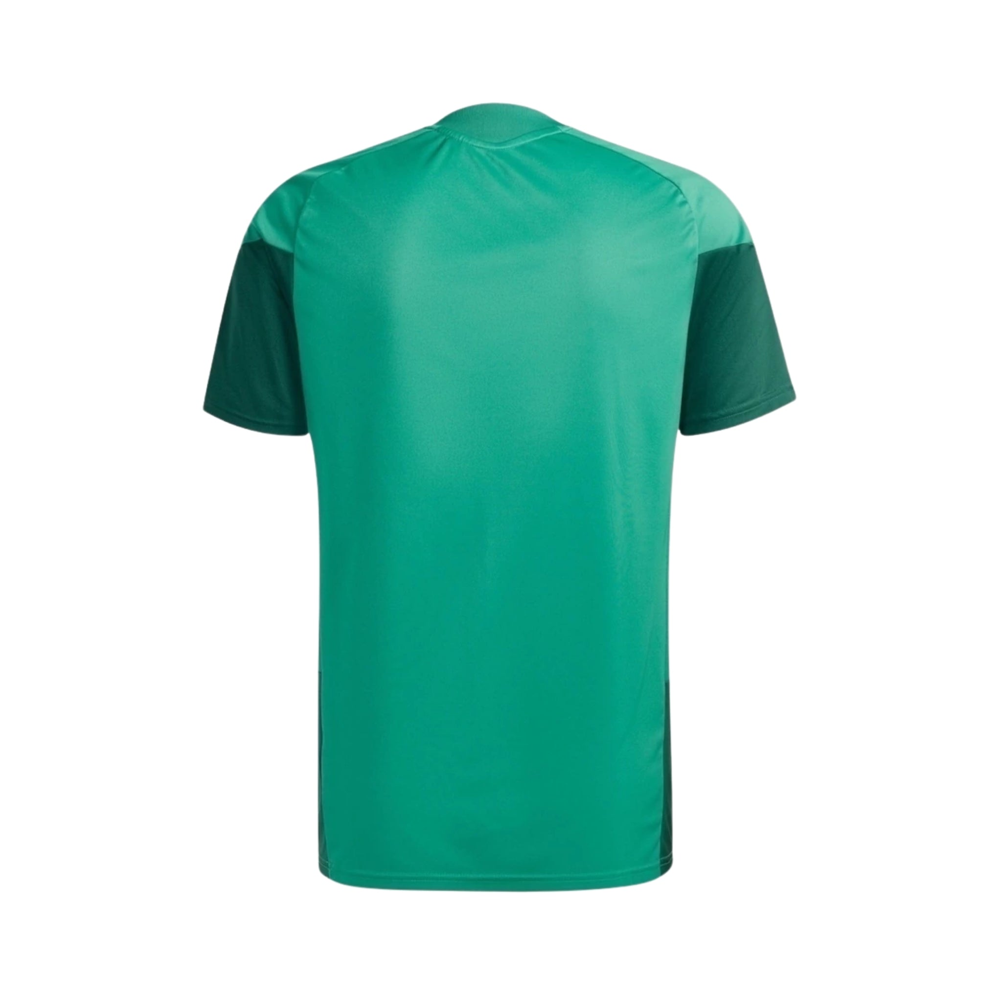 Algérie Entraînement 26/27 - Détail