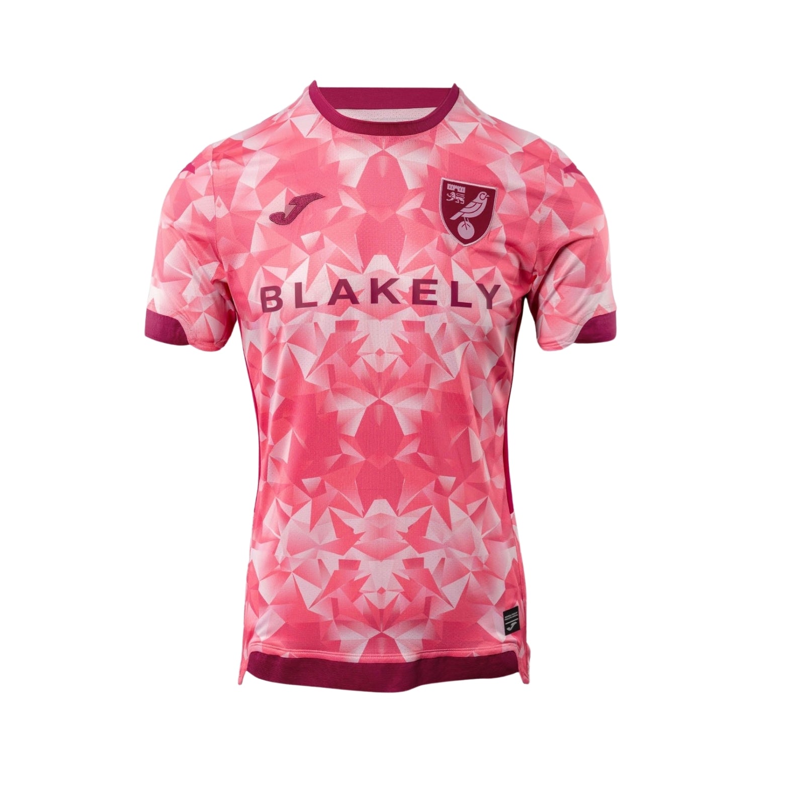 Norwich Troisième 25/26