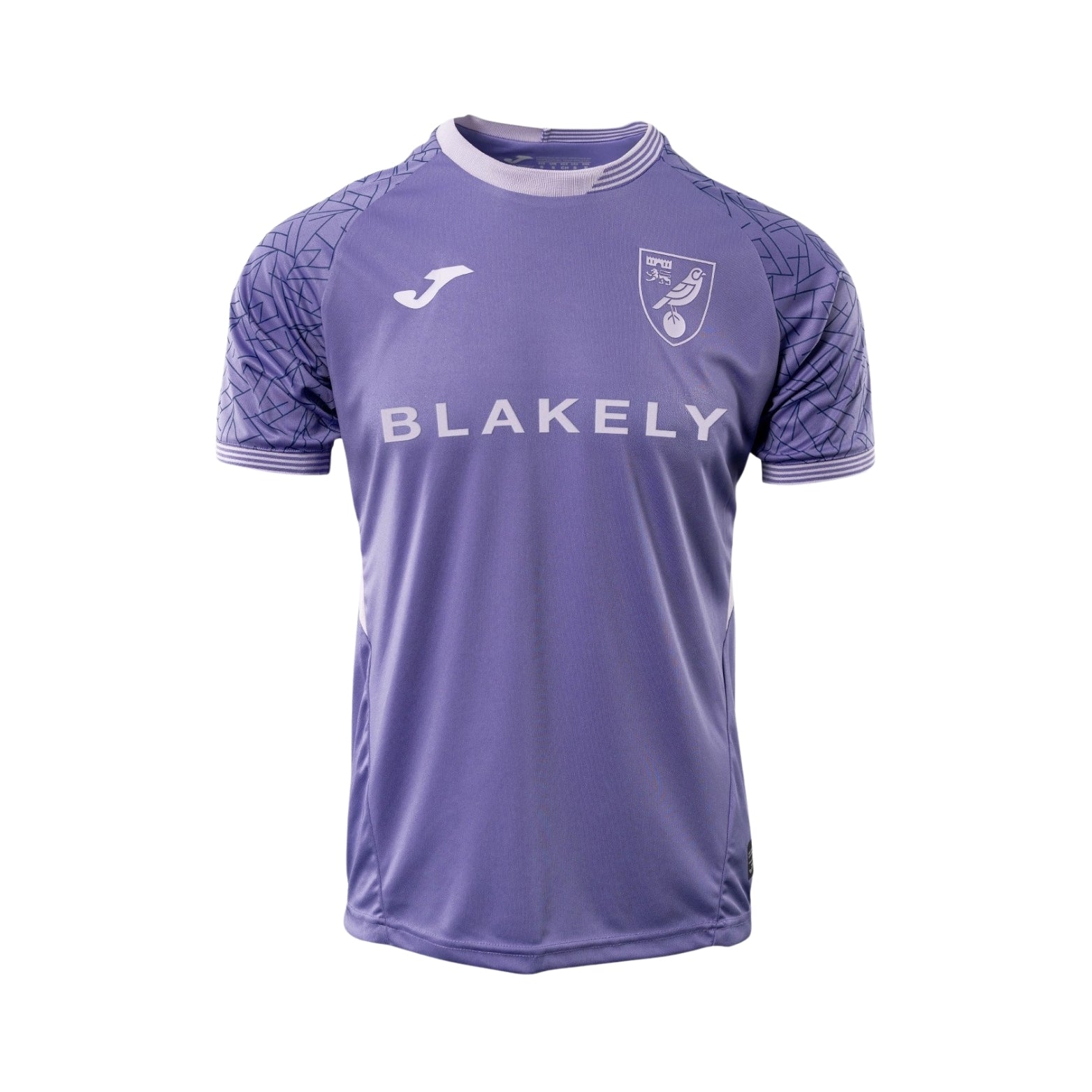 Norwich Gardiens de But 25/26