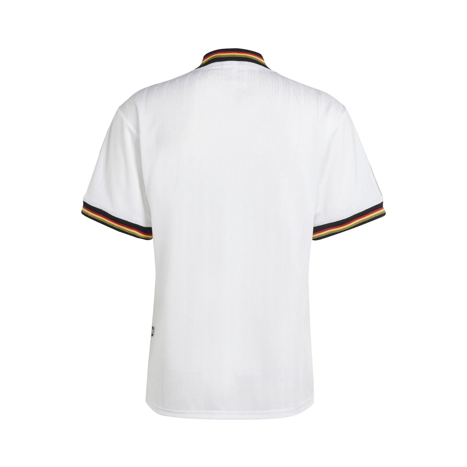 Allemagne Domicile 96/97