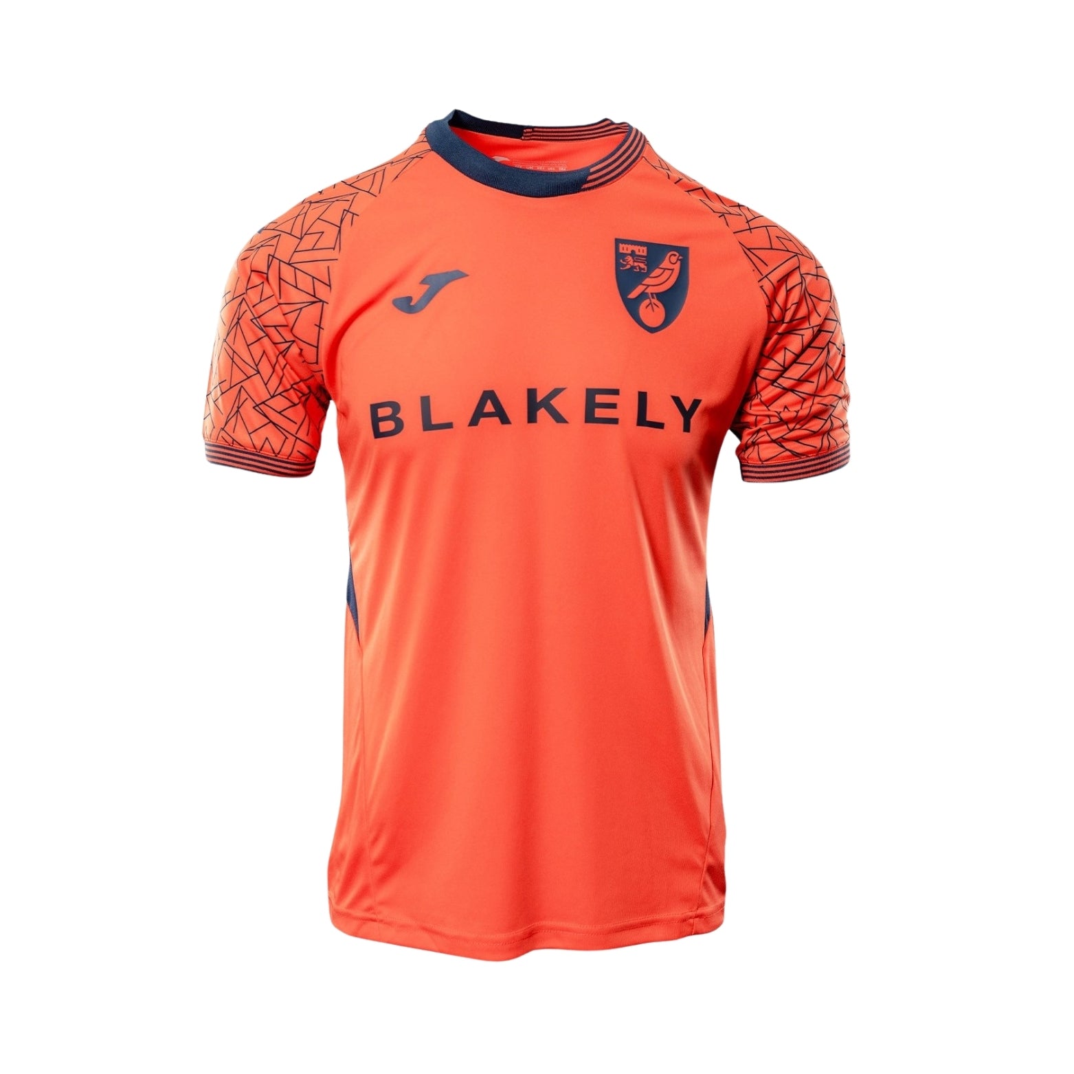 Norwich Gardiens de But 25/26