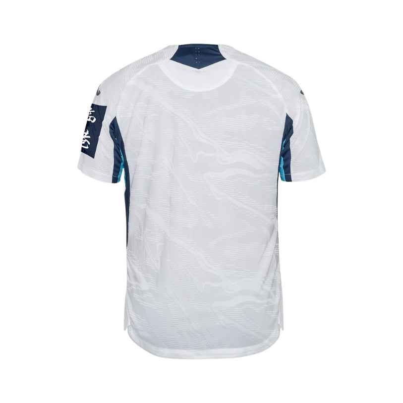 Hoffenheim Troisième 25/26