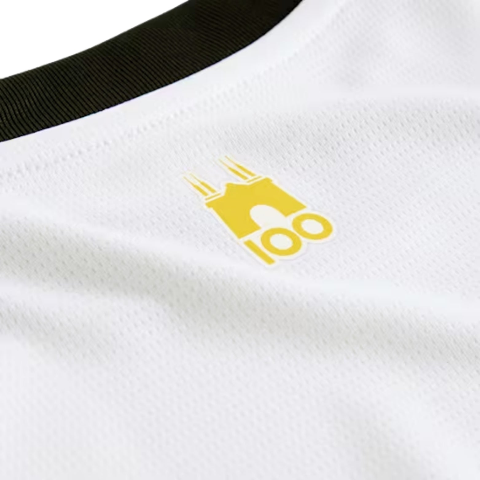 Parma Calcio Domicile 24/25