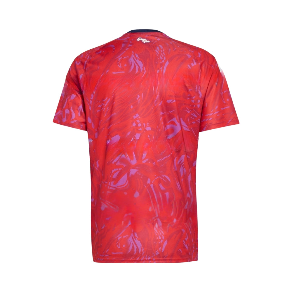 Costa Rica Domicile 26/27 - Coupe du Monde 2026