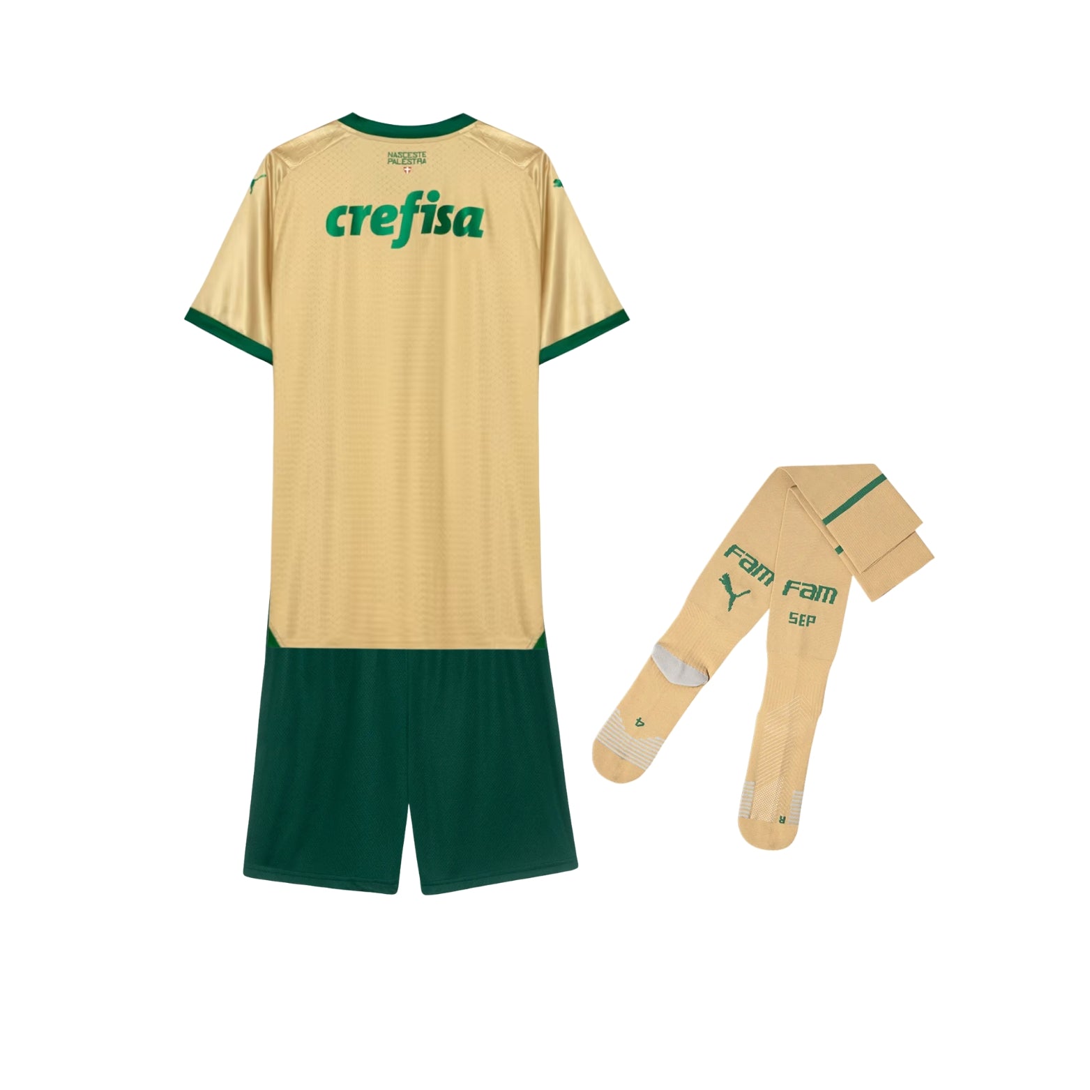 Kit - Palmeiras Troisième 24/25