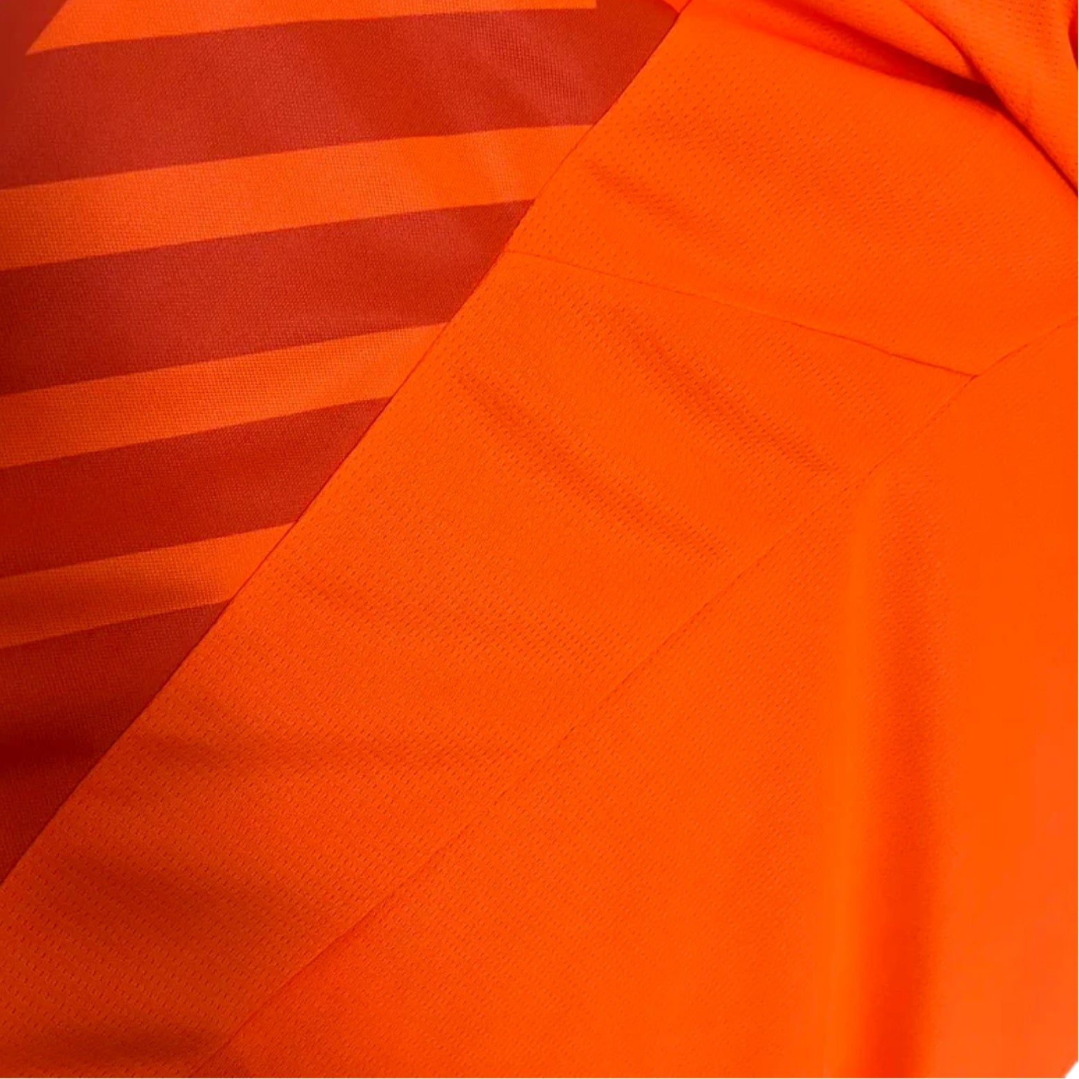 Palmeiras Gardiens de But 24/25