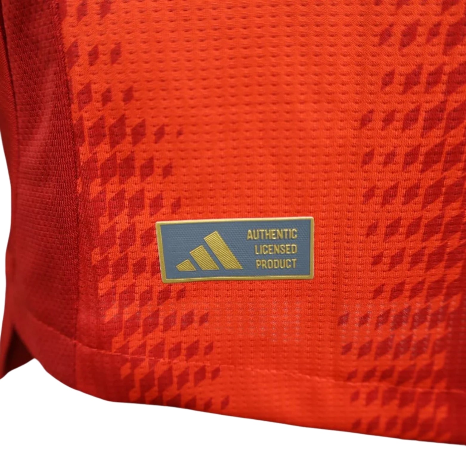 Bayern Munique Domicile 24/25 - Version Joueur