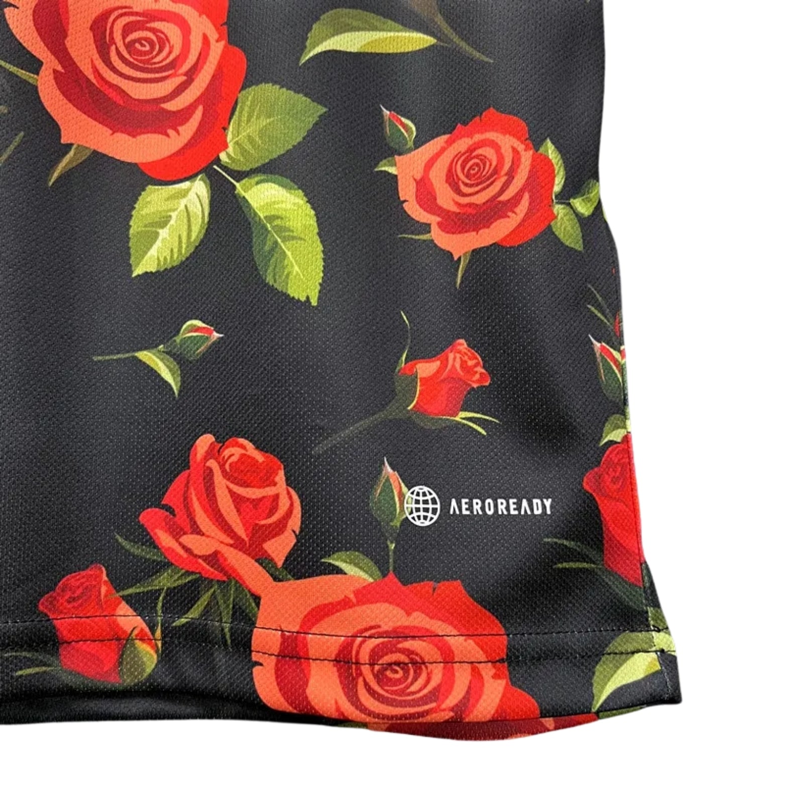 Japon Édition Spéciale 24/25