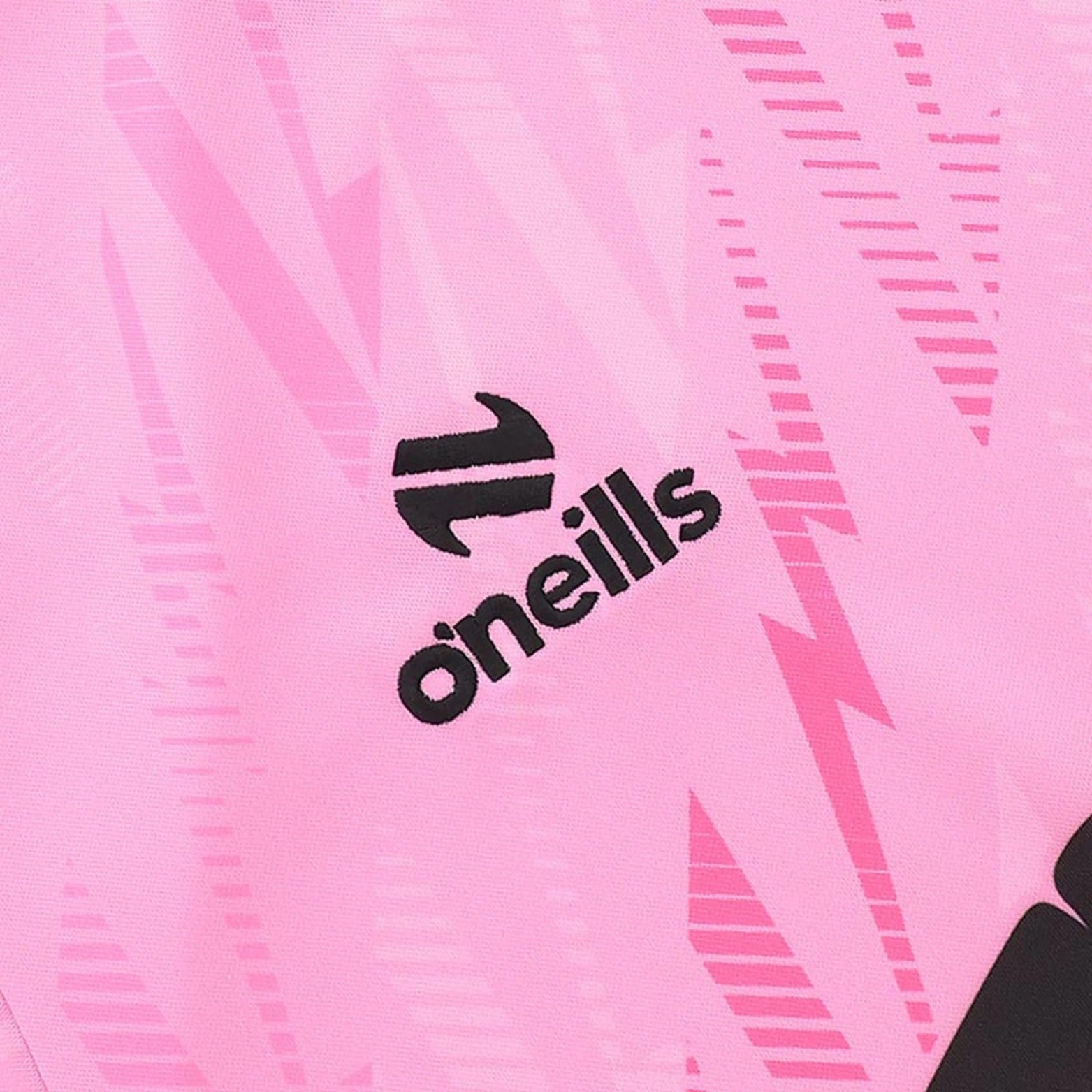 Falkirk Gardiens de But 25/26