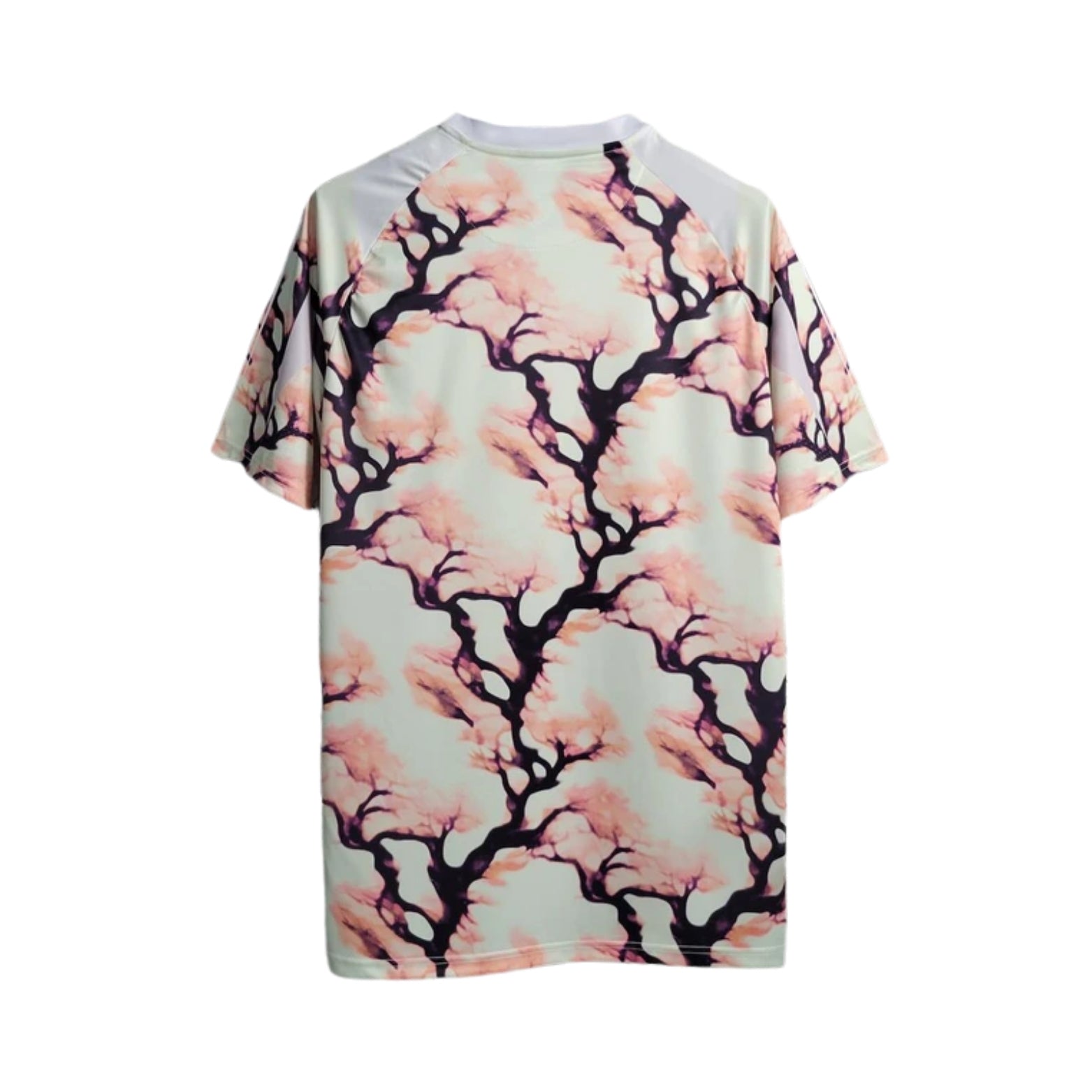 Japon Édition Spéciale 24/25