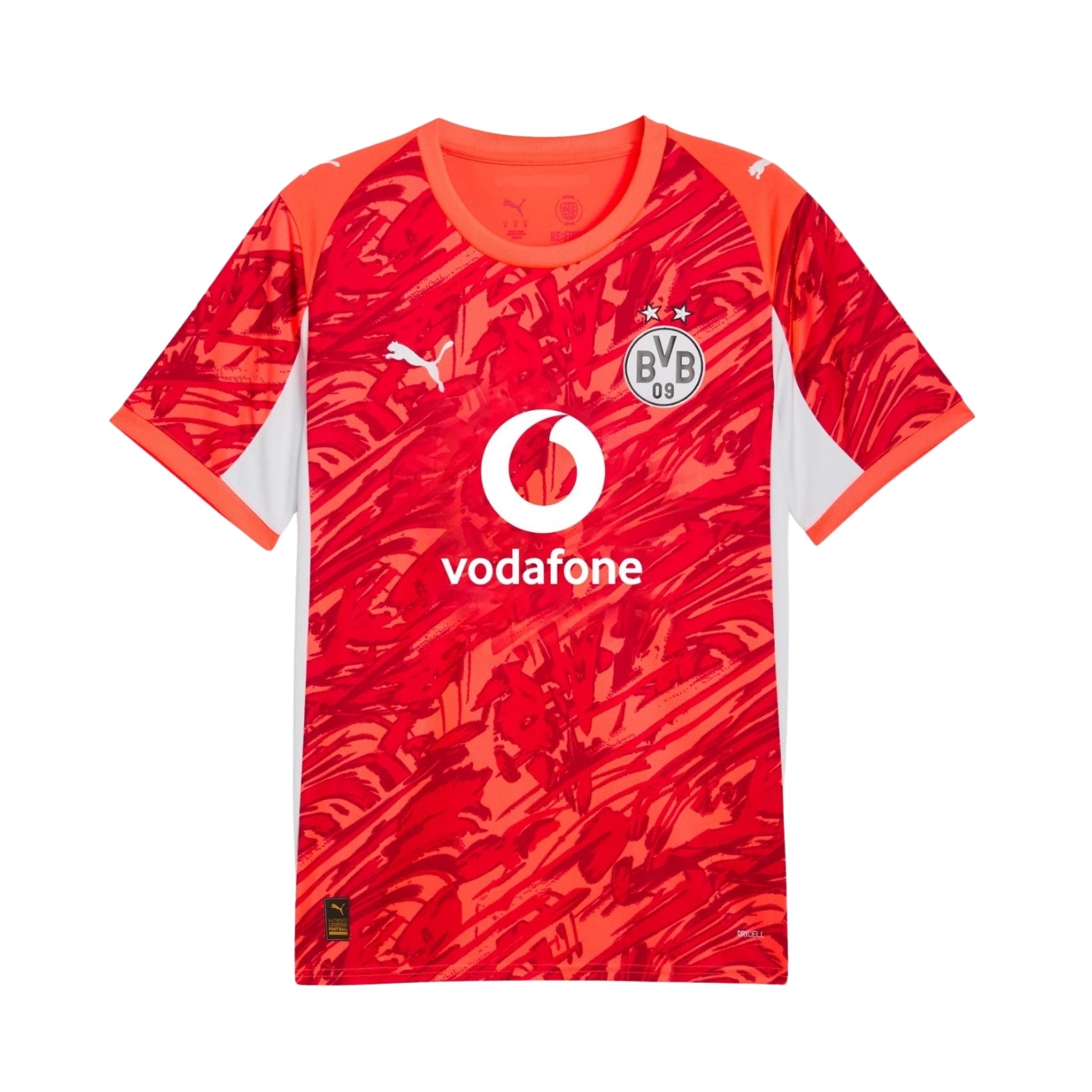 Borussia Dortmund Gardiens de But 25/26