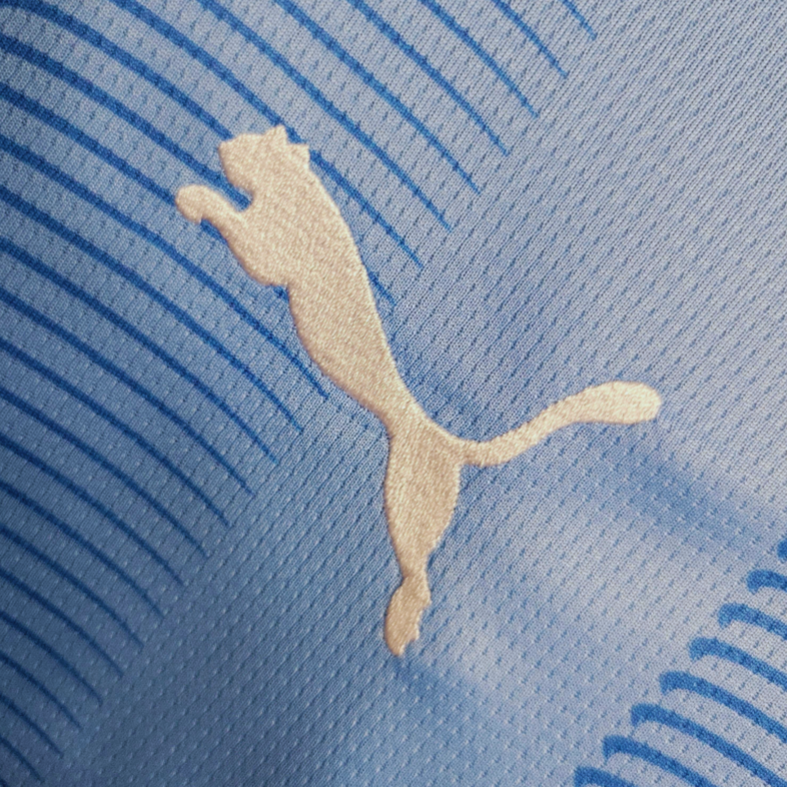 Manchester City Domicile 23/24