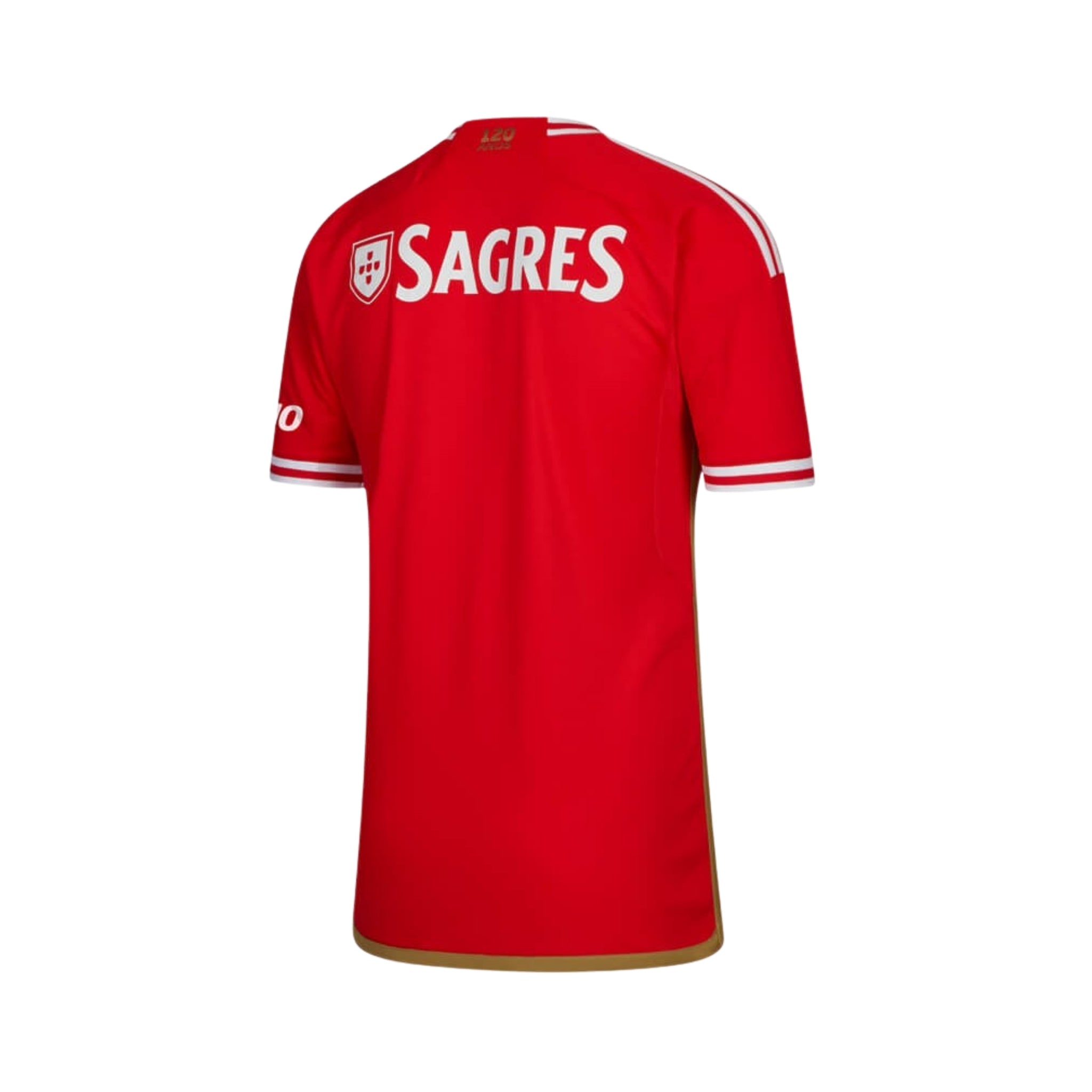 Benfica Domicile 23/24