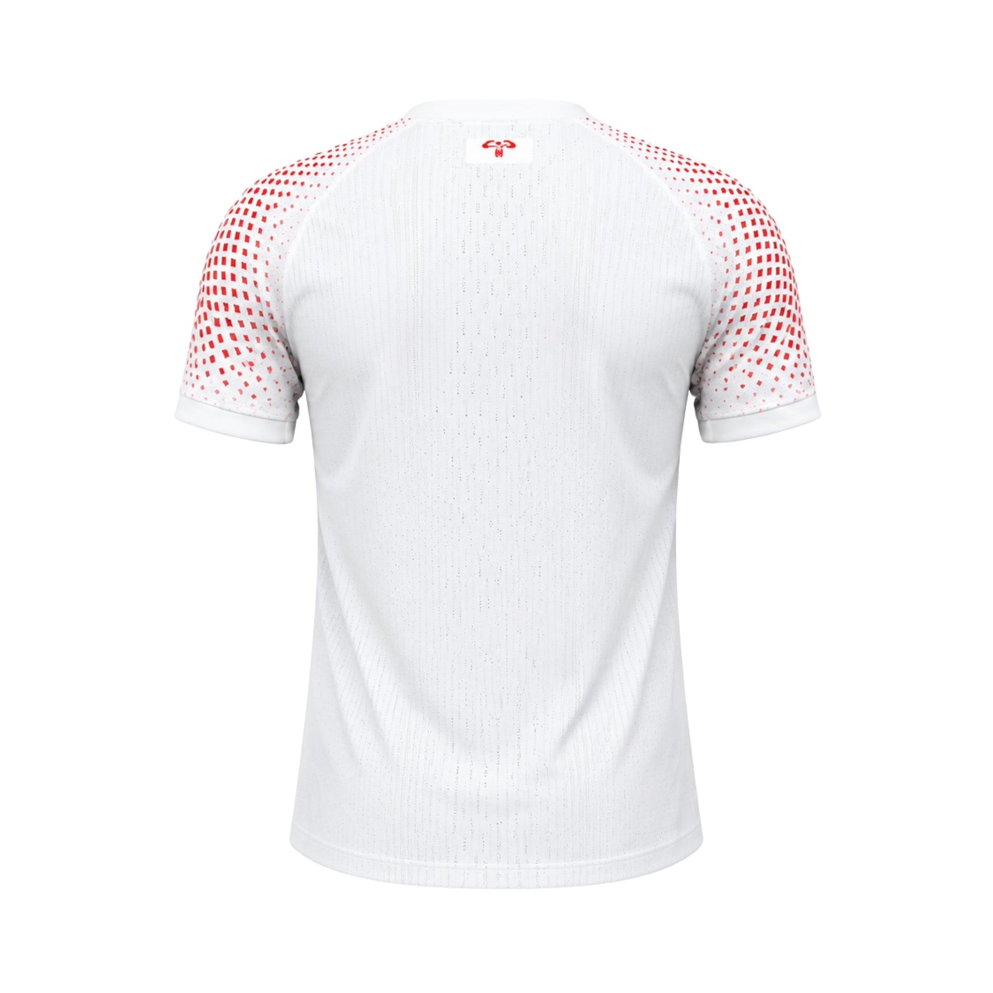 Jordanie Extérieur 26/27 - Coupe du Monde 2026 - Version Joueur