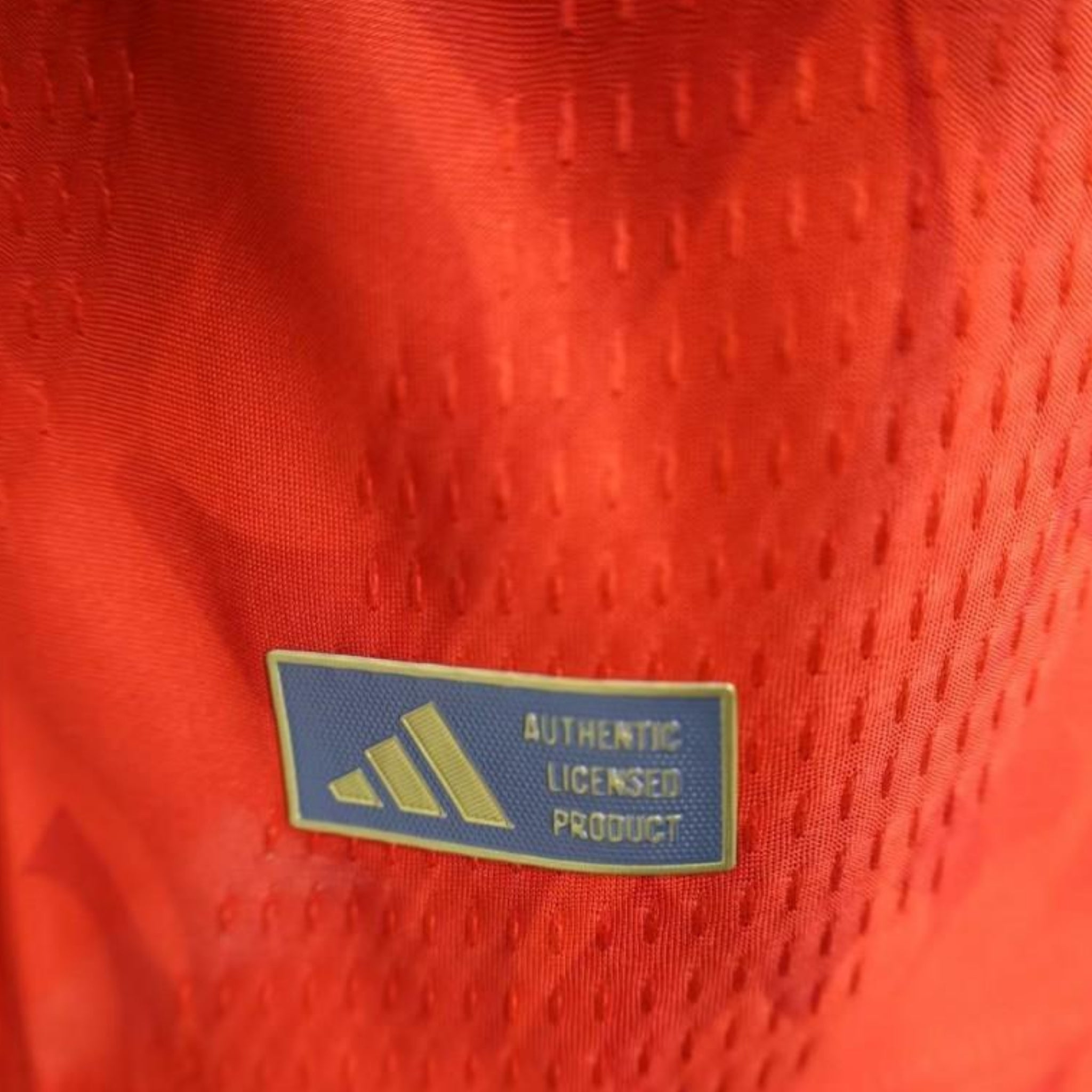 Belgique Domicile 26/27 - Coupe du Monde 2026 - Manches Longues - Version Joueur