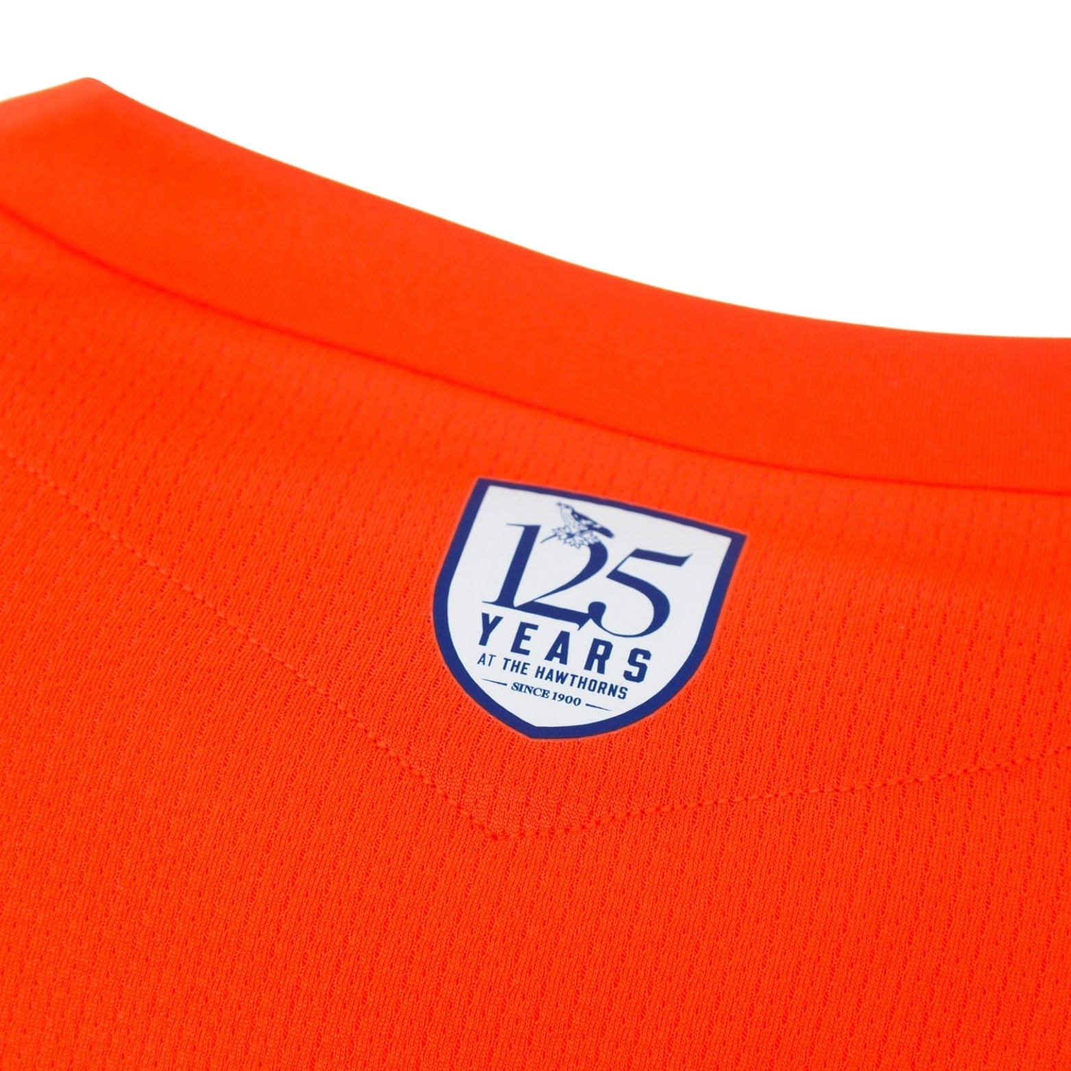 West Bromwich Albion Gardiens de But 25/26