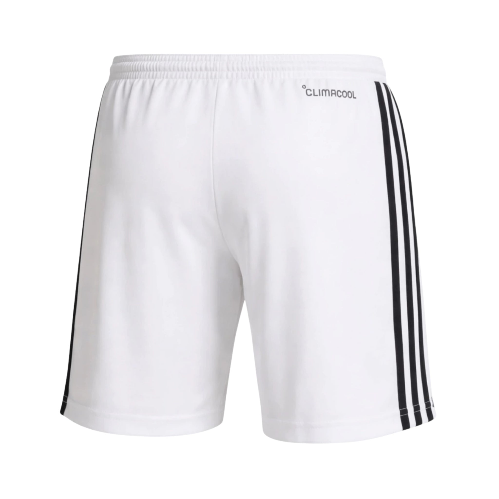 Short Belgique Extérieur 26/27 - Vue de dos