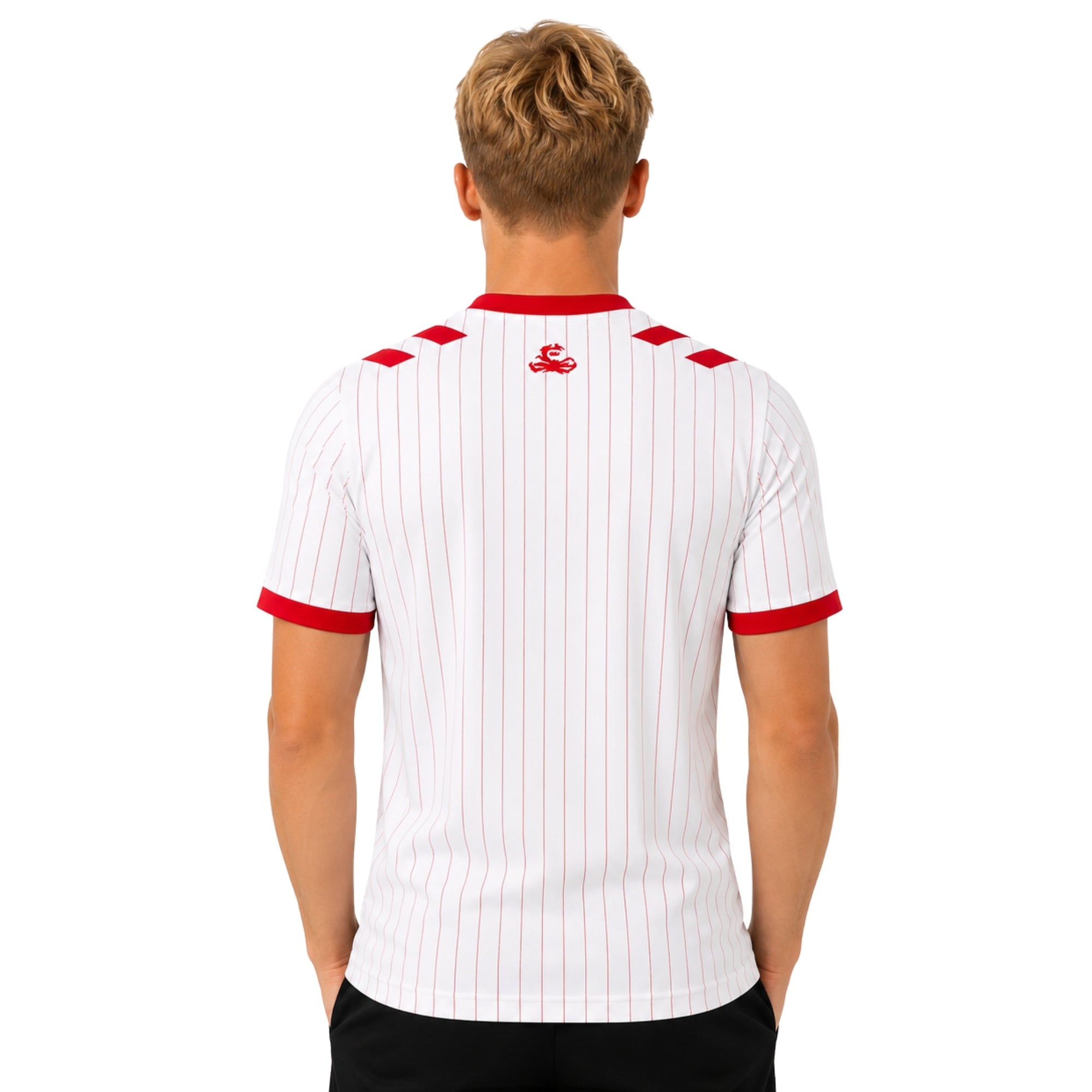 Danemark Extérieur 26/27 - Coupe du Monde 2026 - Version Joueur
