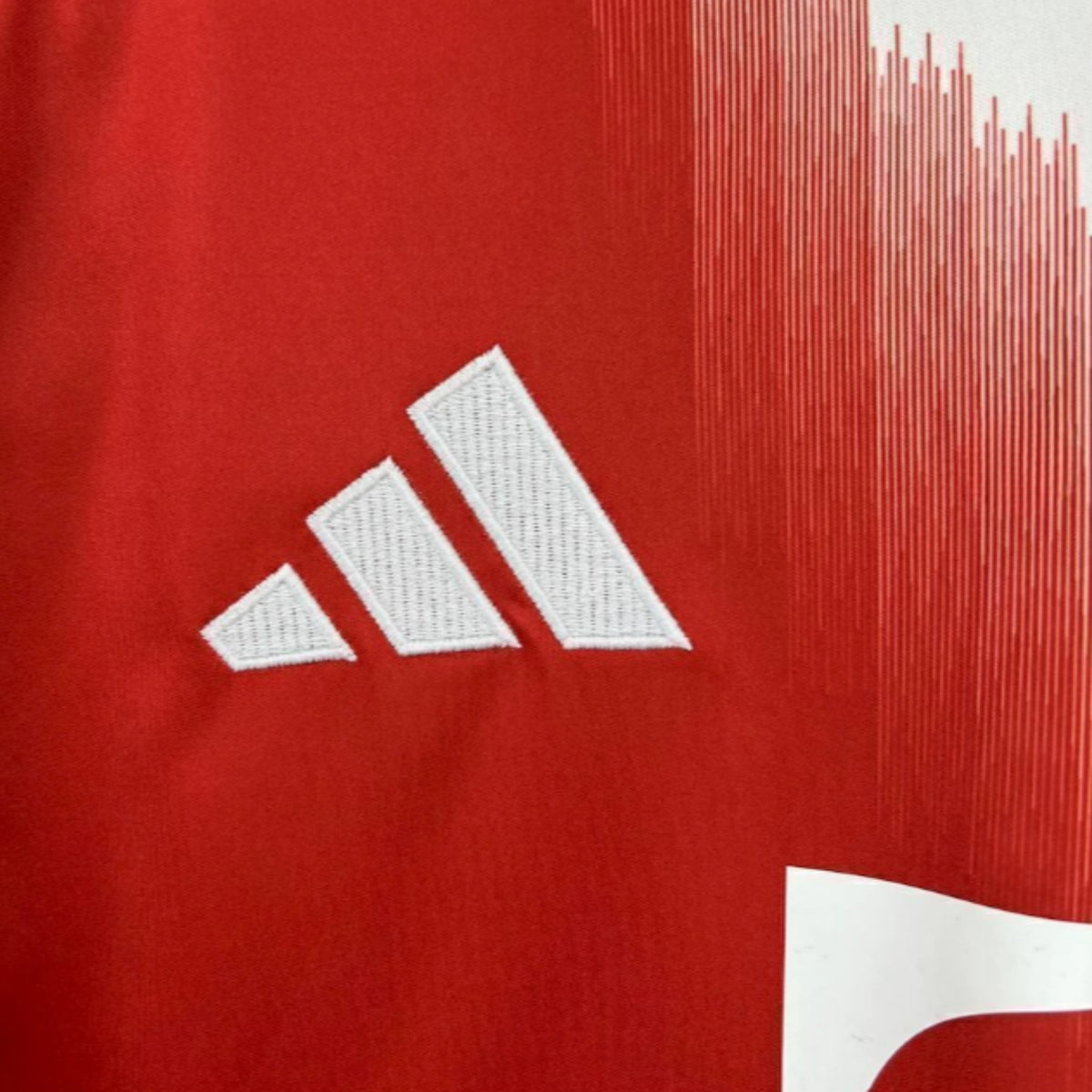 Bayern Munich Domicile 25/26