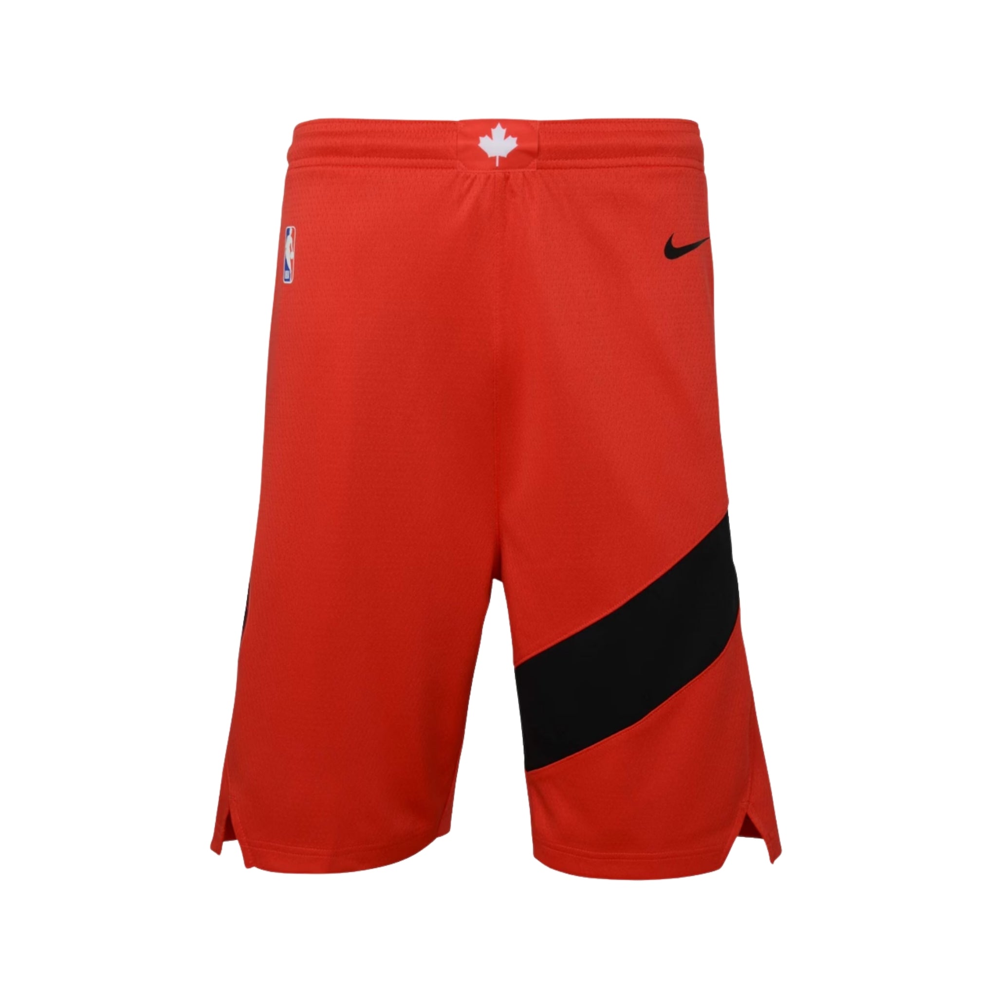 Toronto Raptors Icon Edition 25/26 - Vue rapprochée