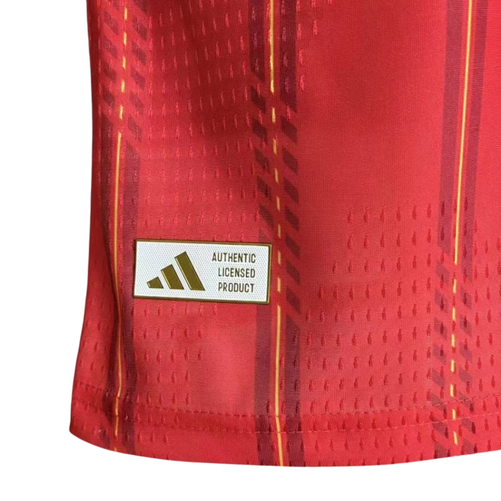 Espagne Domicile 26/27 - Coupe du Monde 2026 - Version Joueur